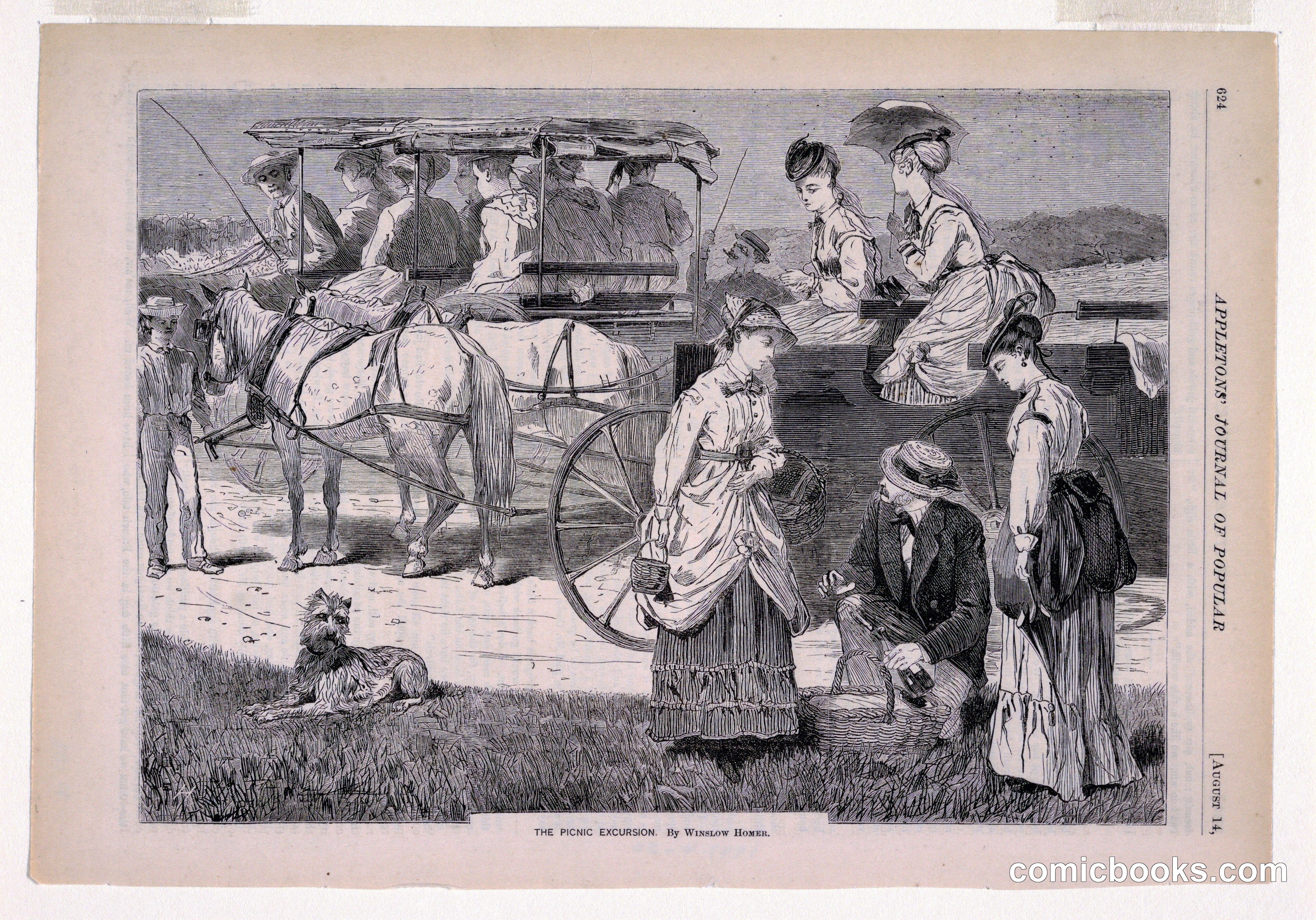 The Picnic Excursion