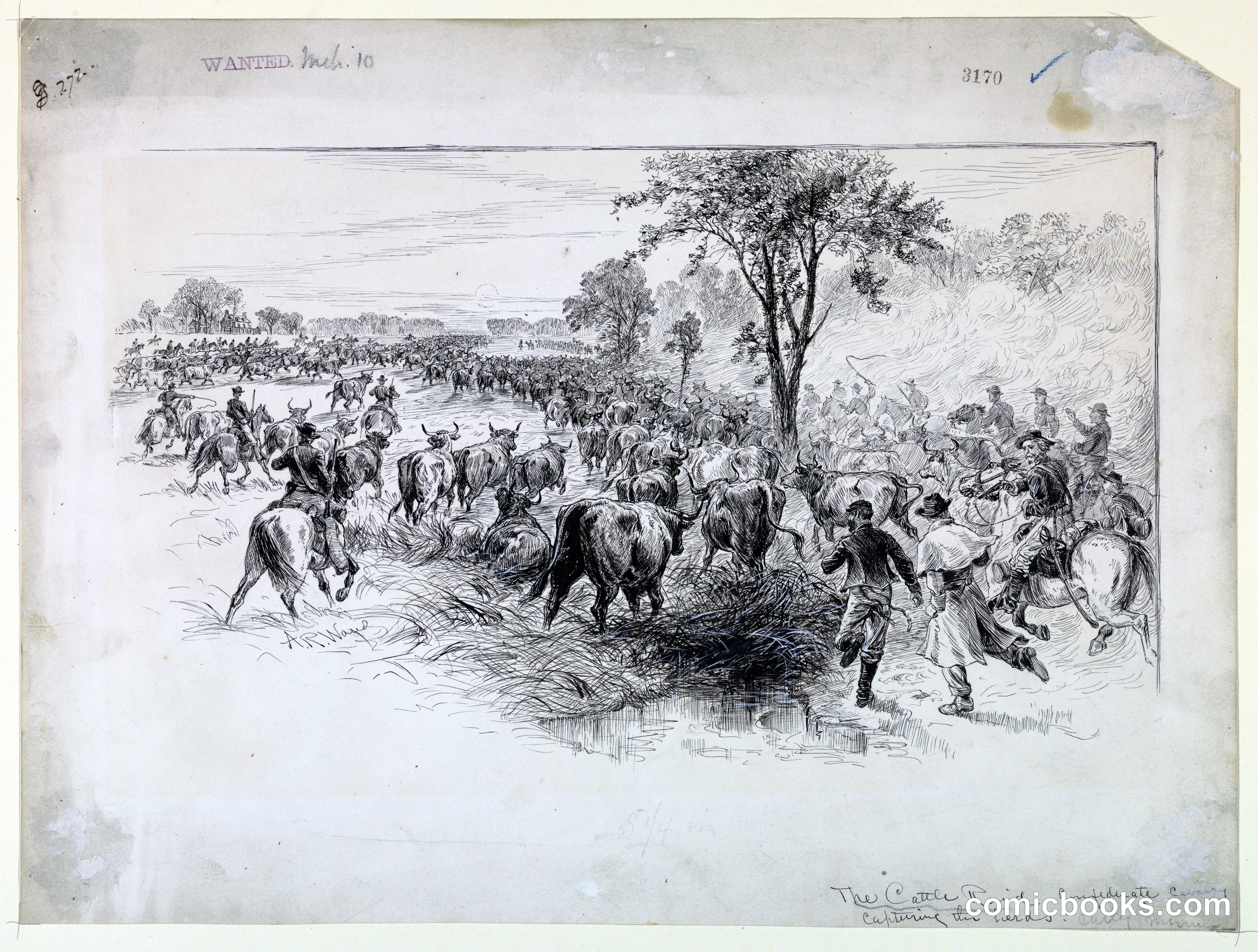 The Cattle Raid by the Confederate Cavalry