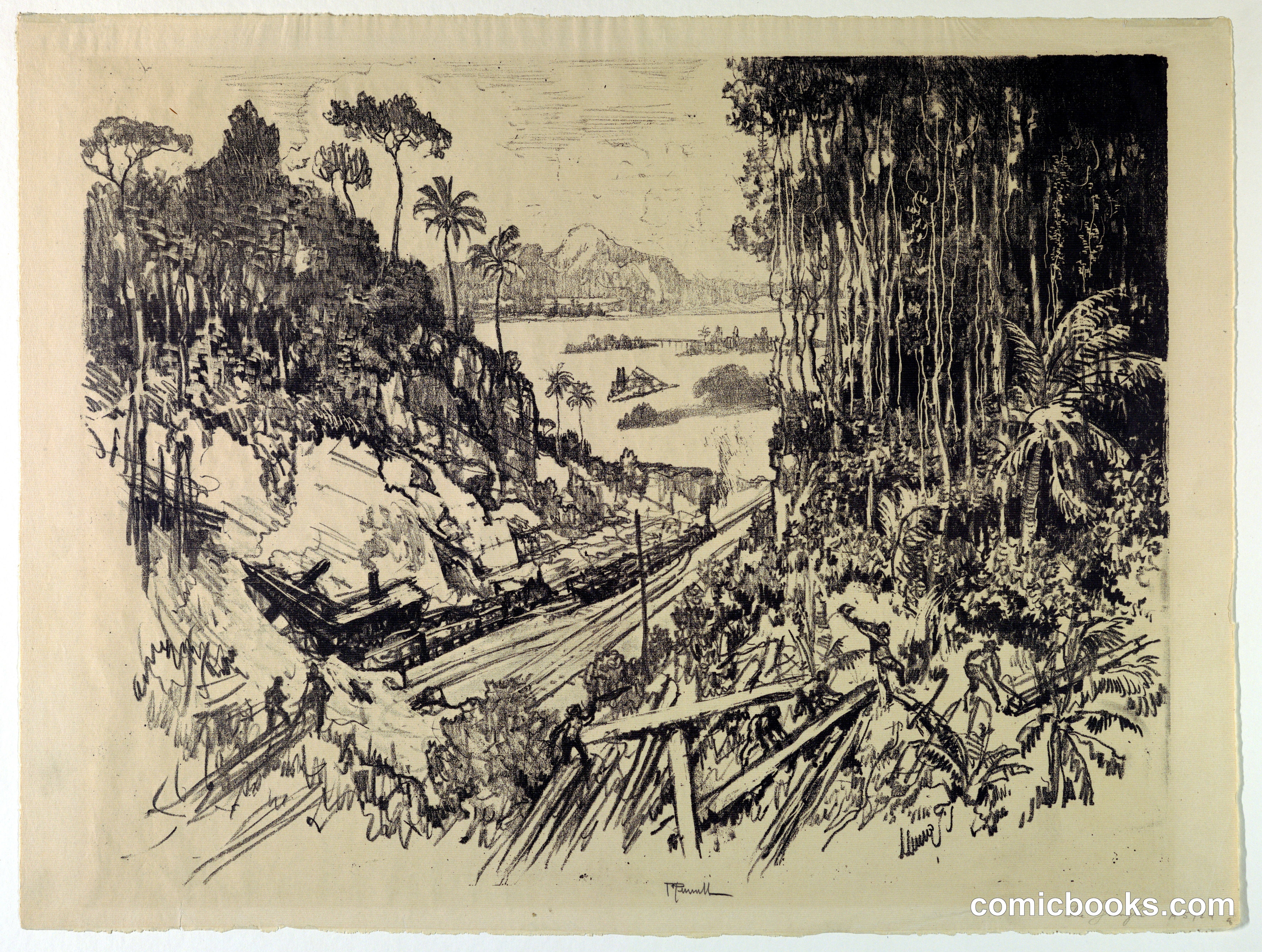 The Jungle: The Old Railroad from the New