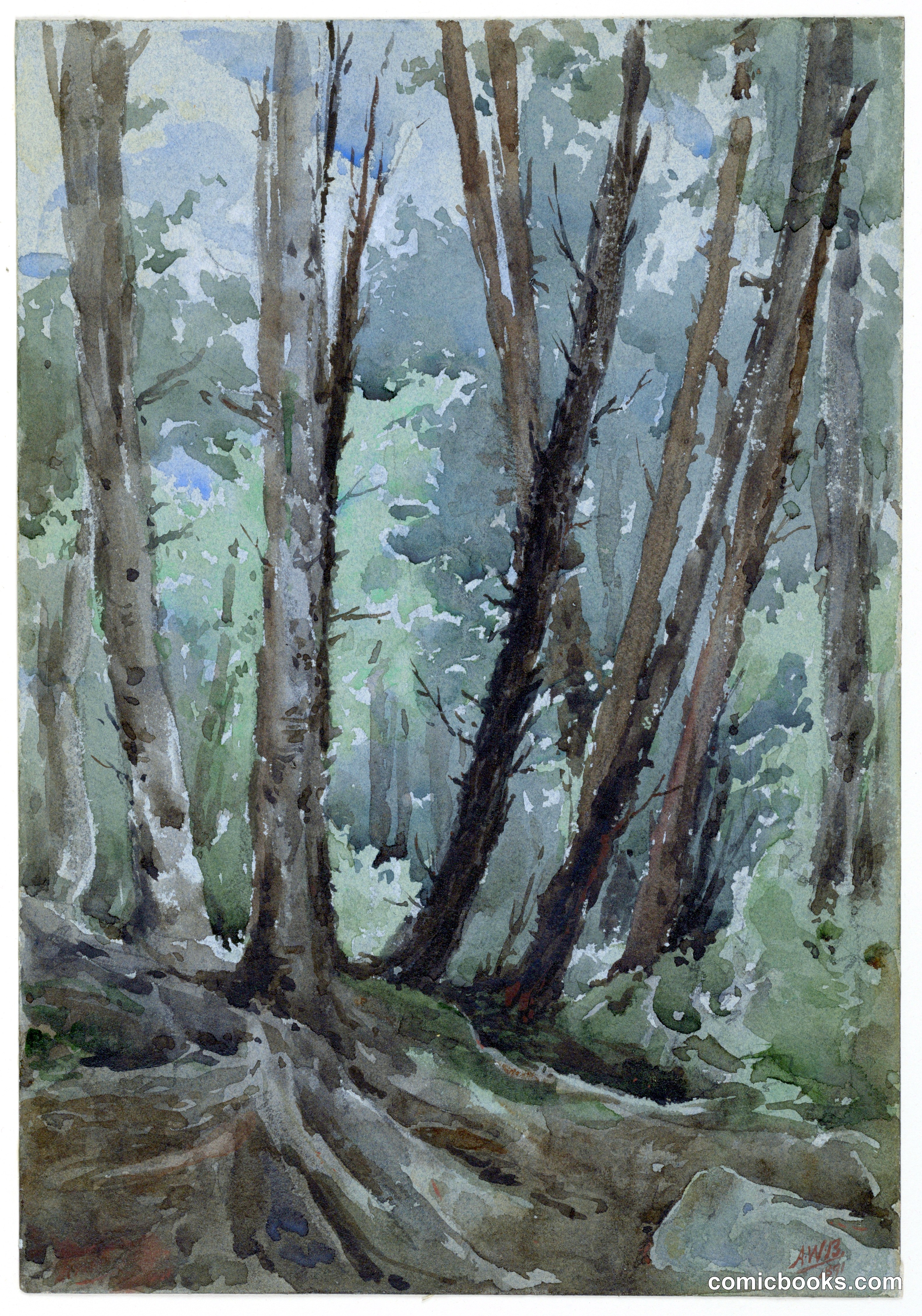 Forest