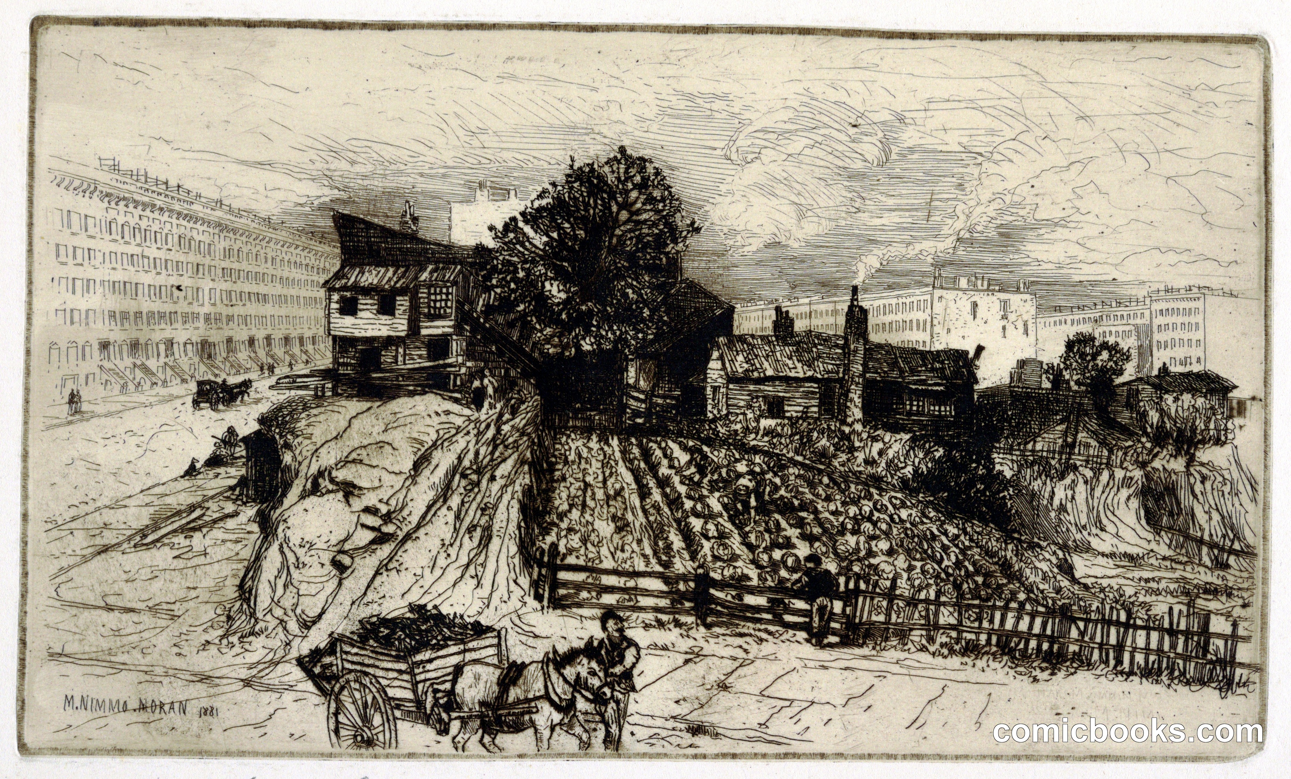 A City Farm, New York
