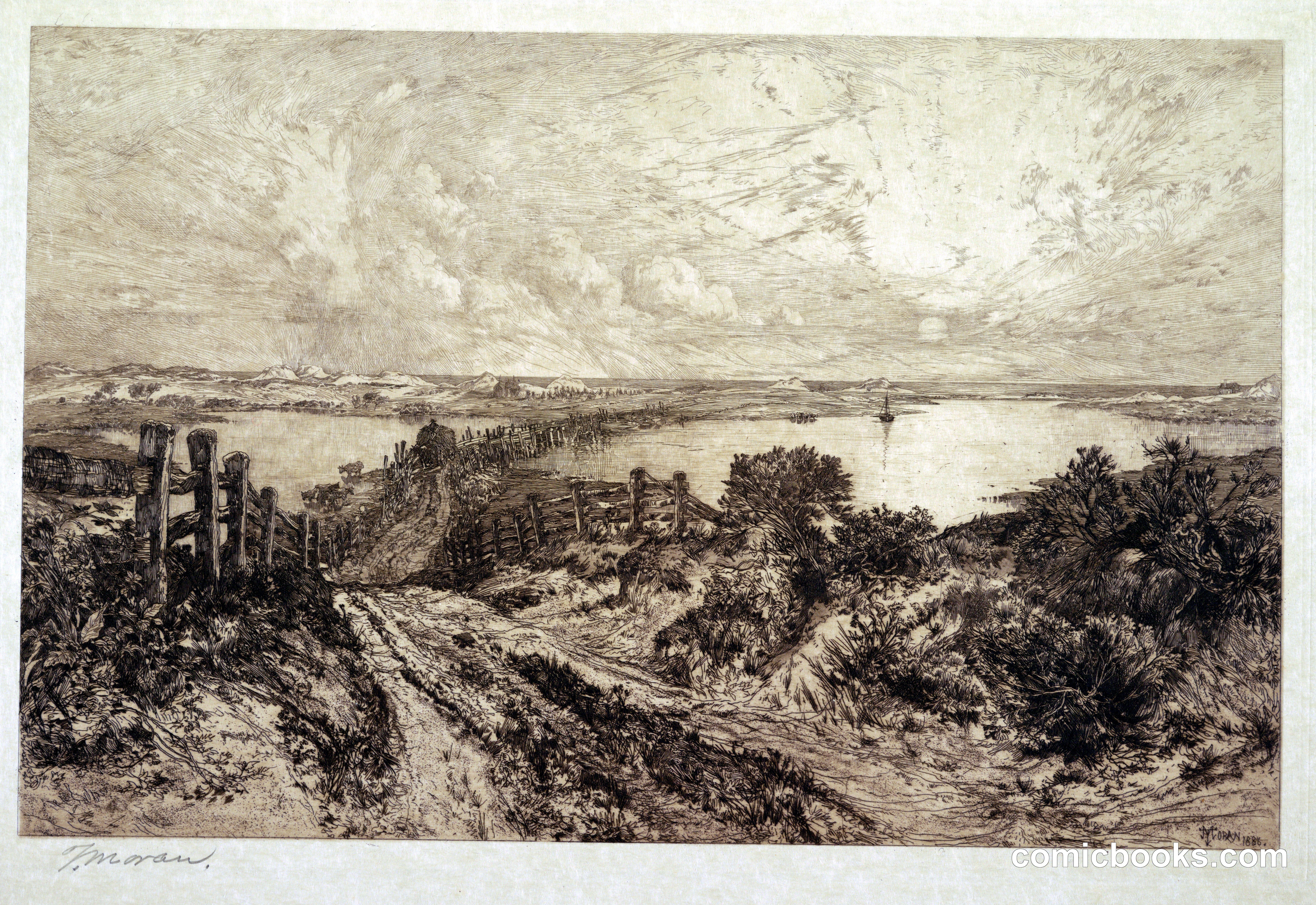 Morning, Hook Pond, East Hampton