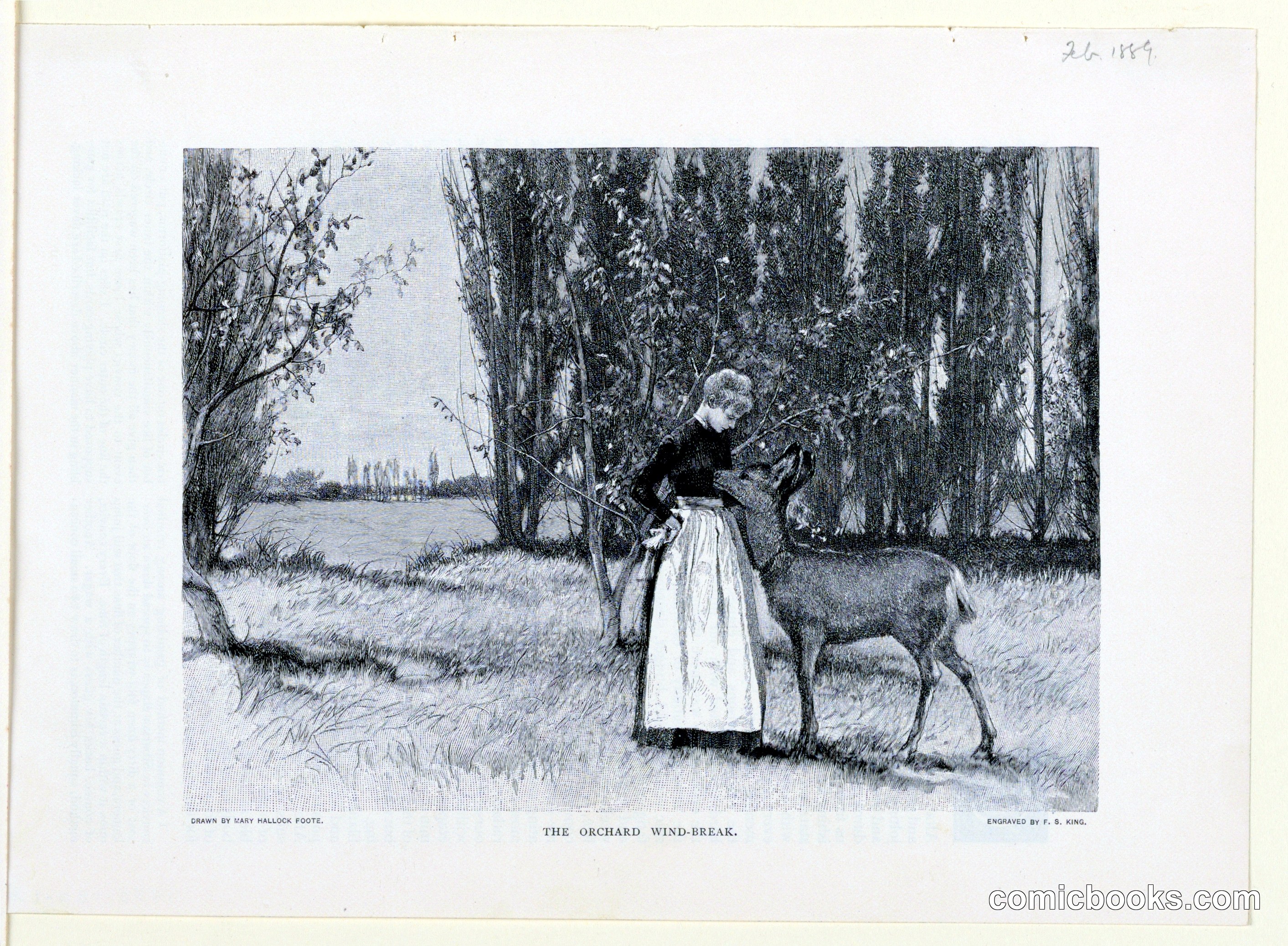 The Orchard Wind-Break