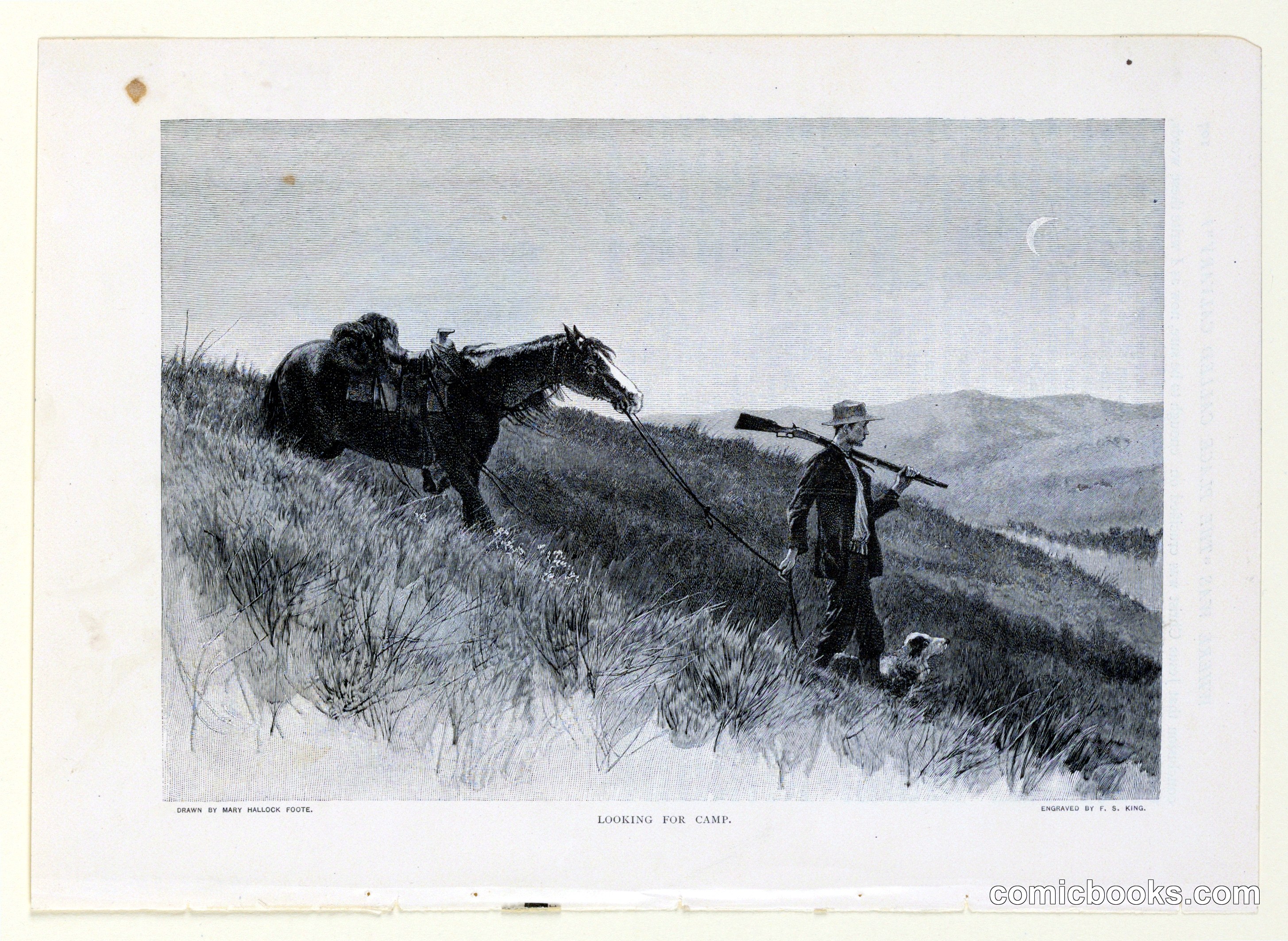 Looking for Camp
