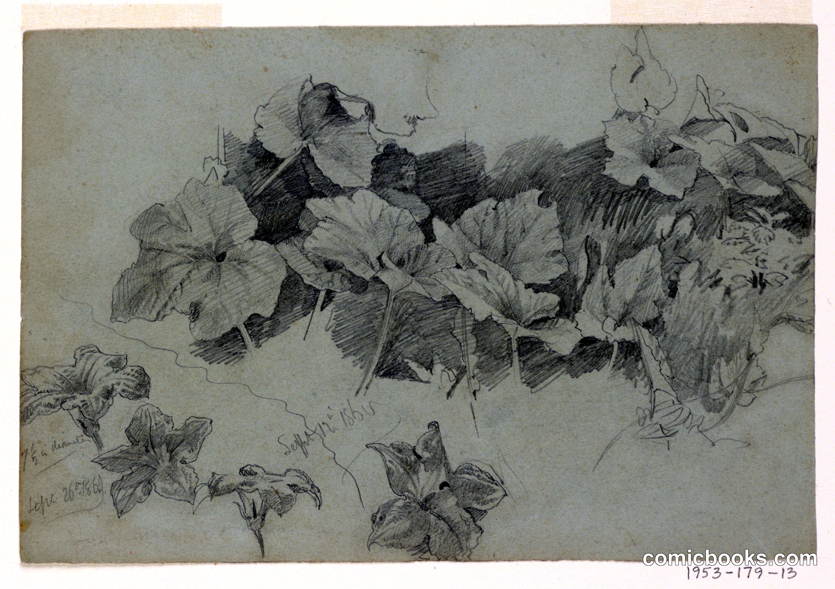 Study of Foliage