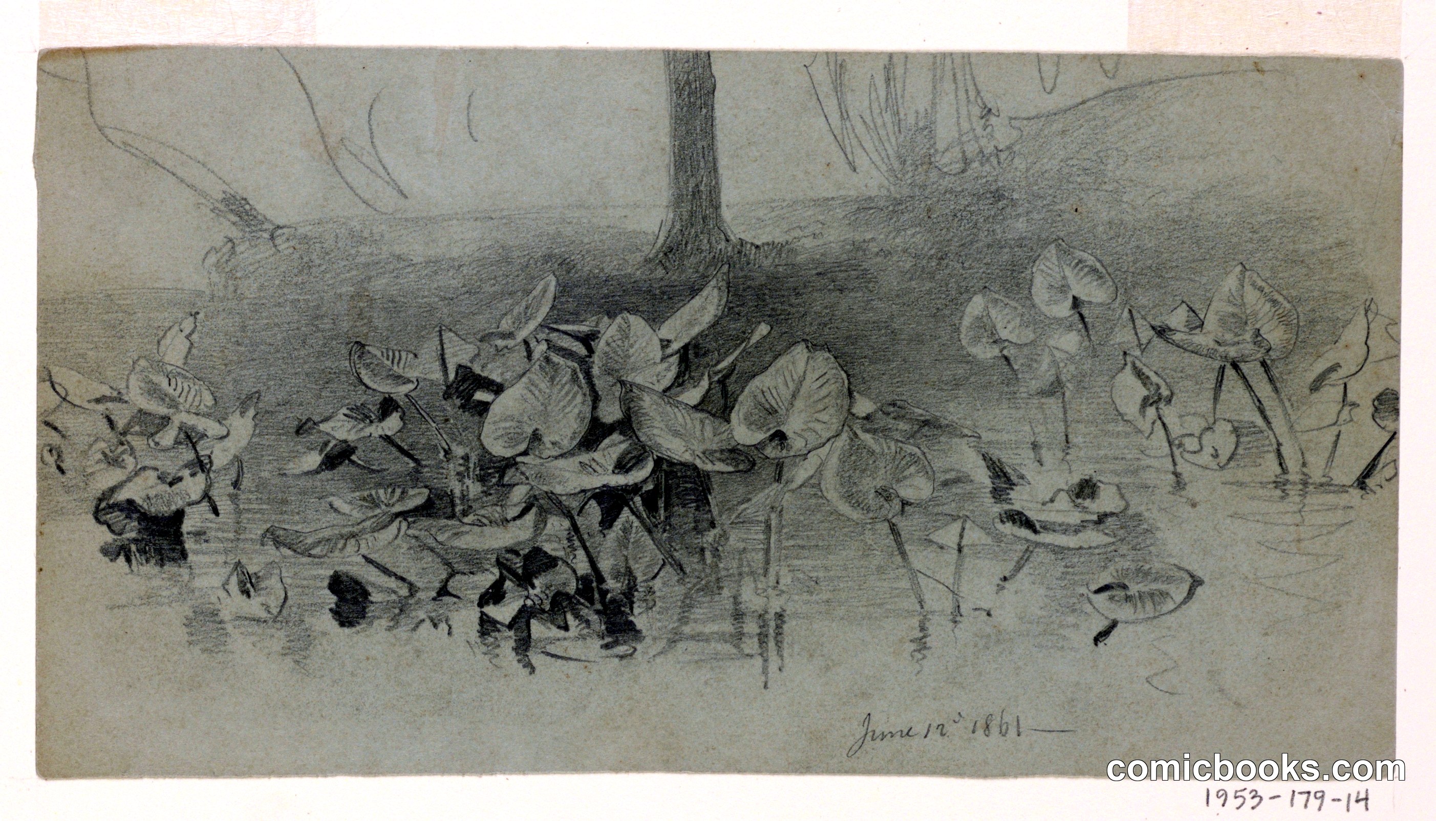 Study of Foliage