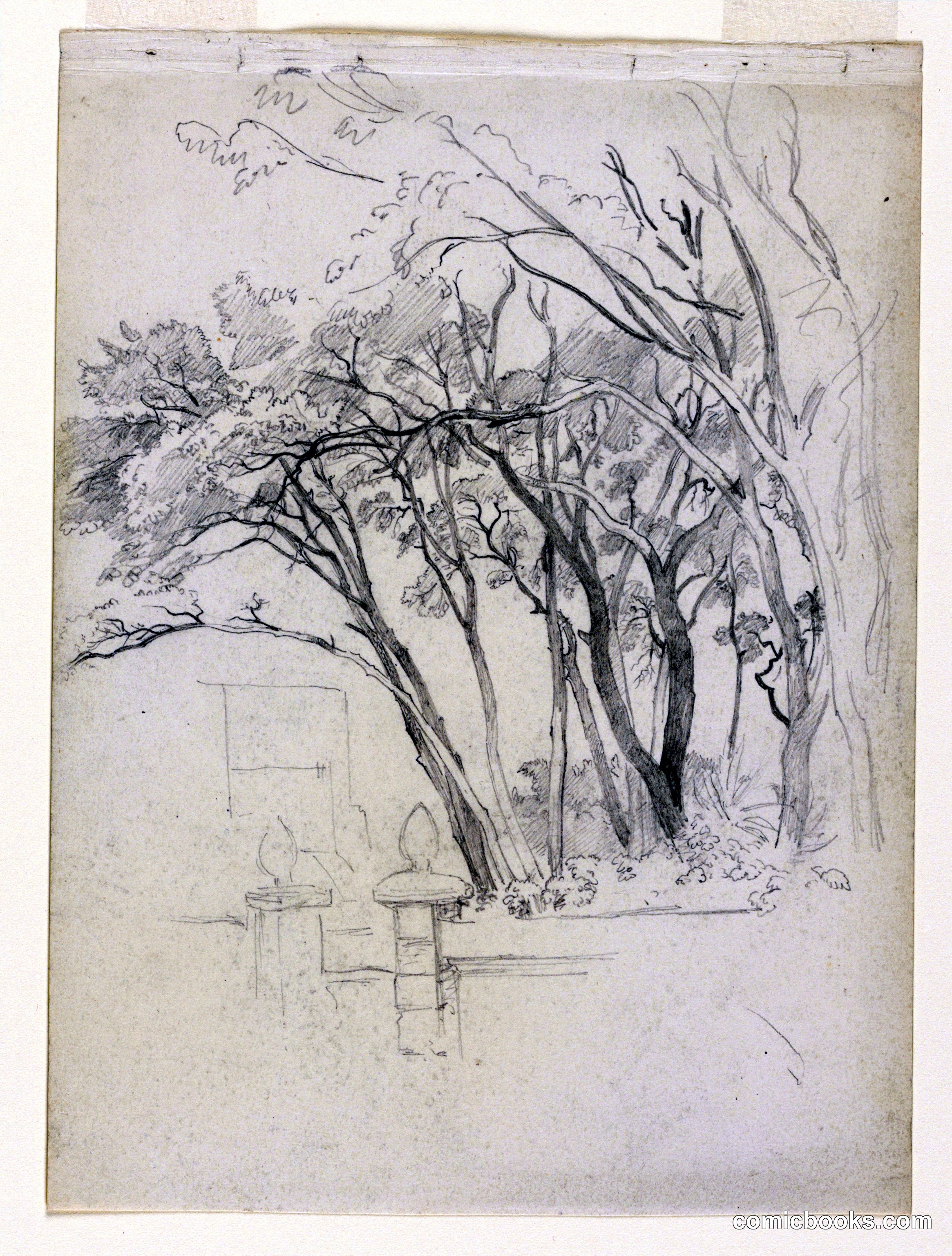 Study of Foliage