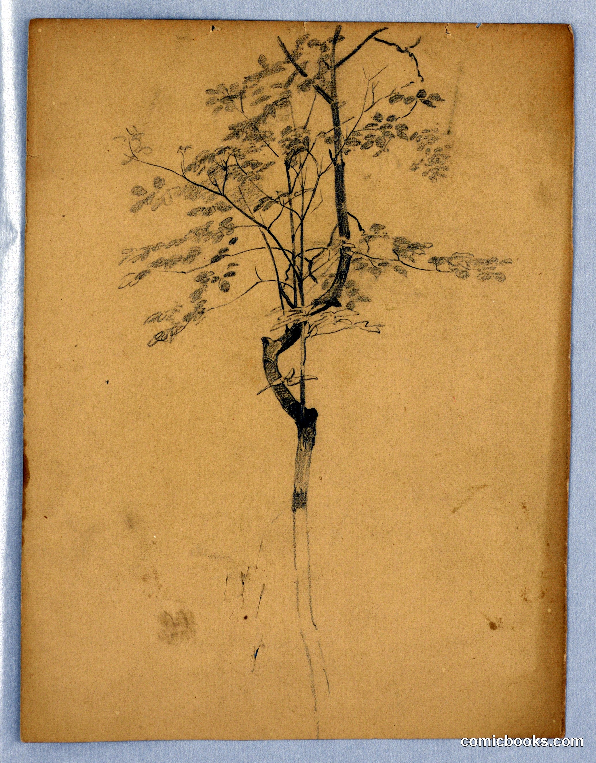 Study of Foliage