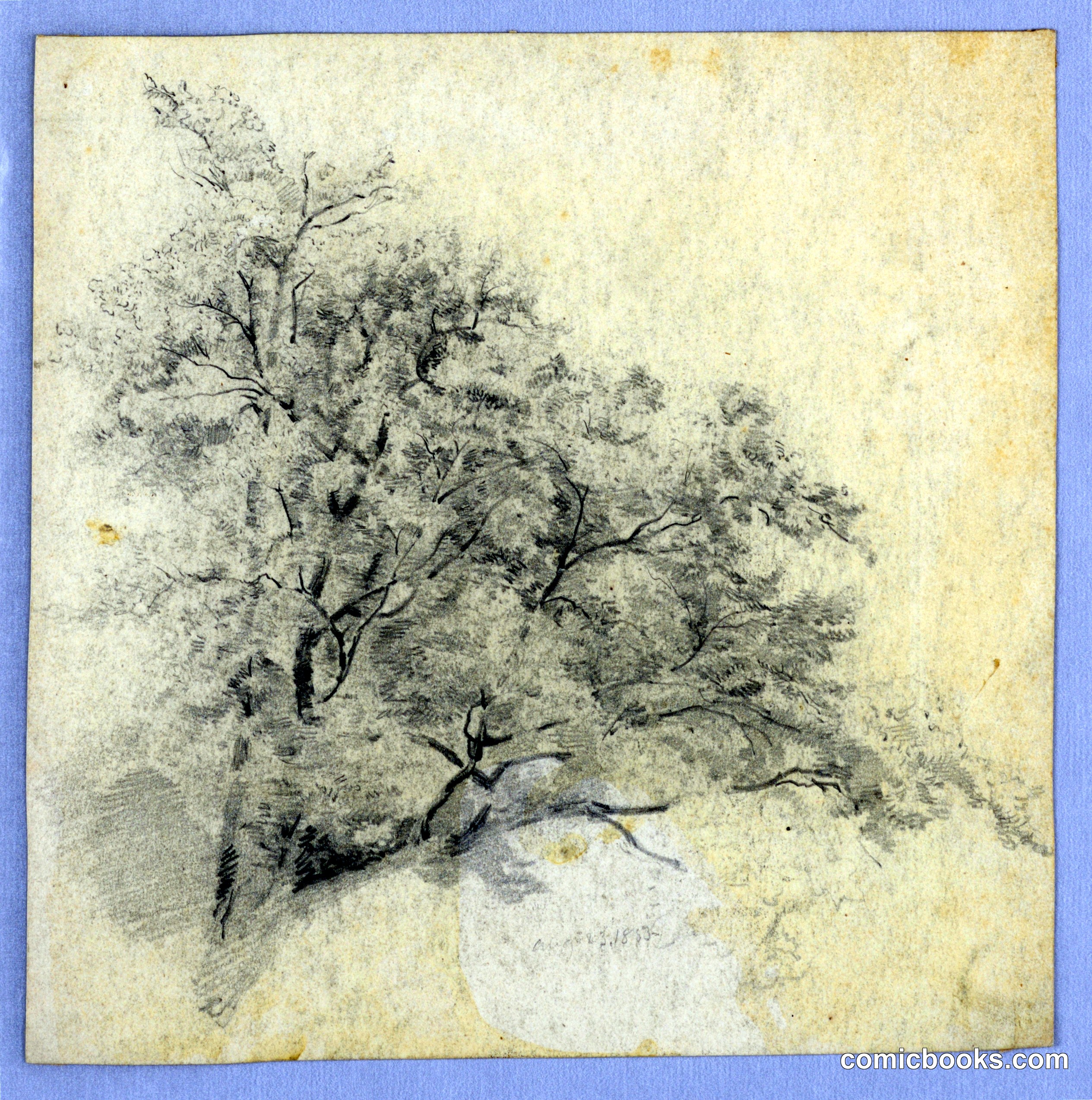 Study of Foliage
