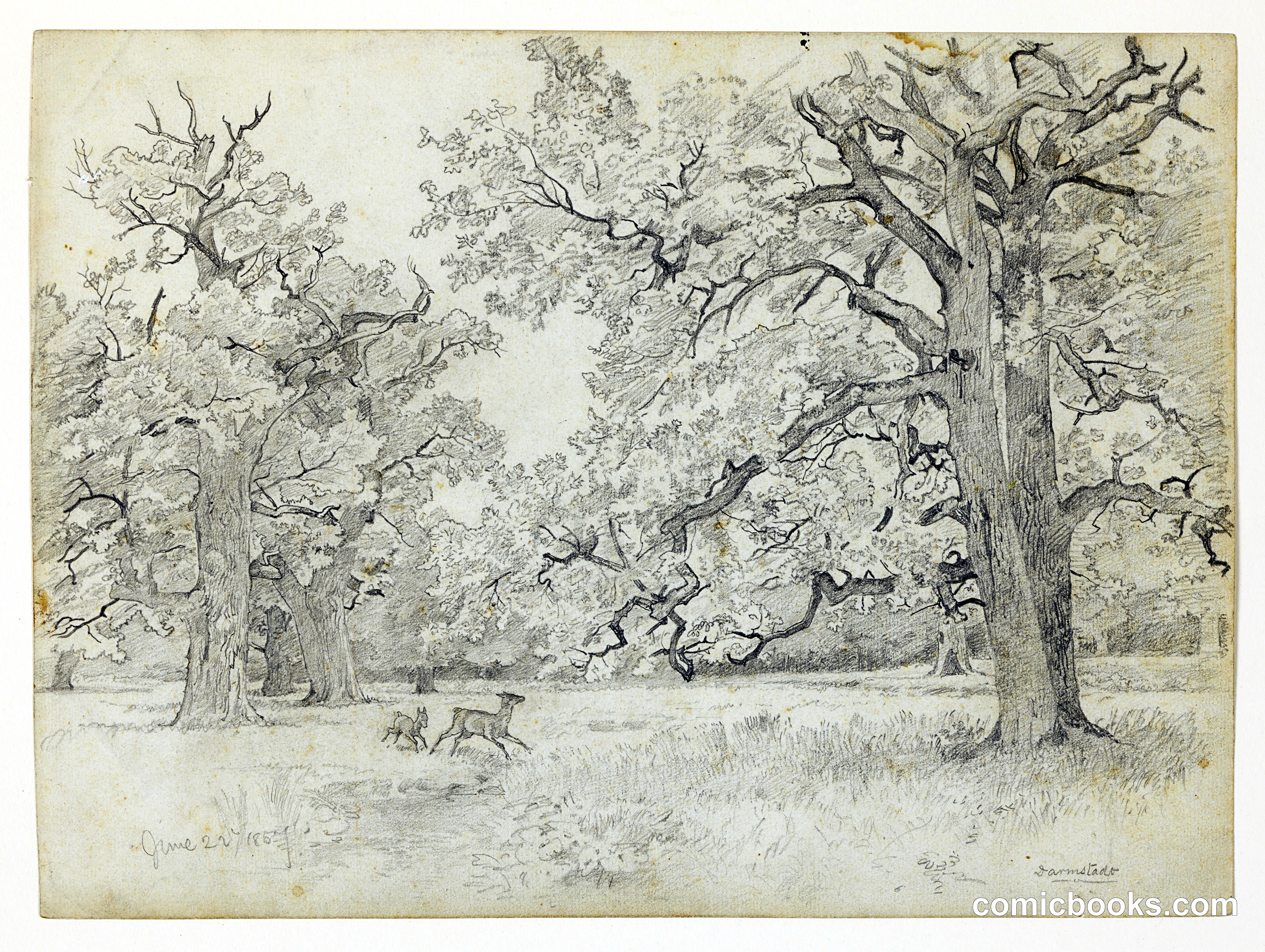 Landscape, Darmstadt, Germany