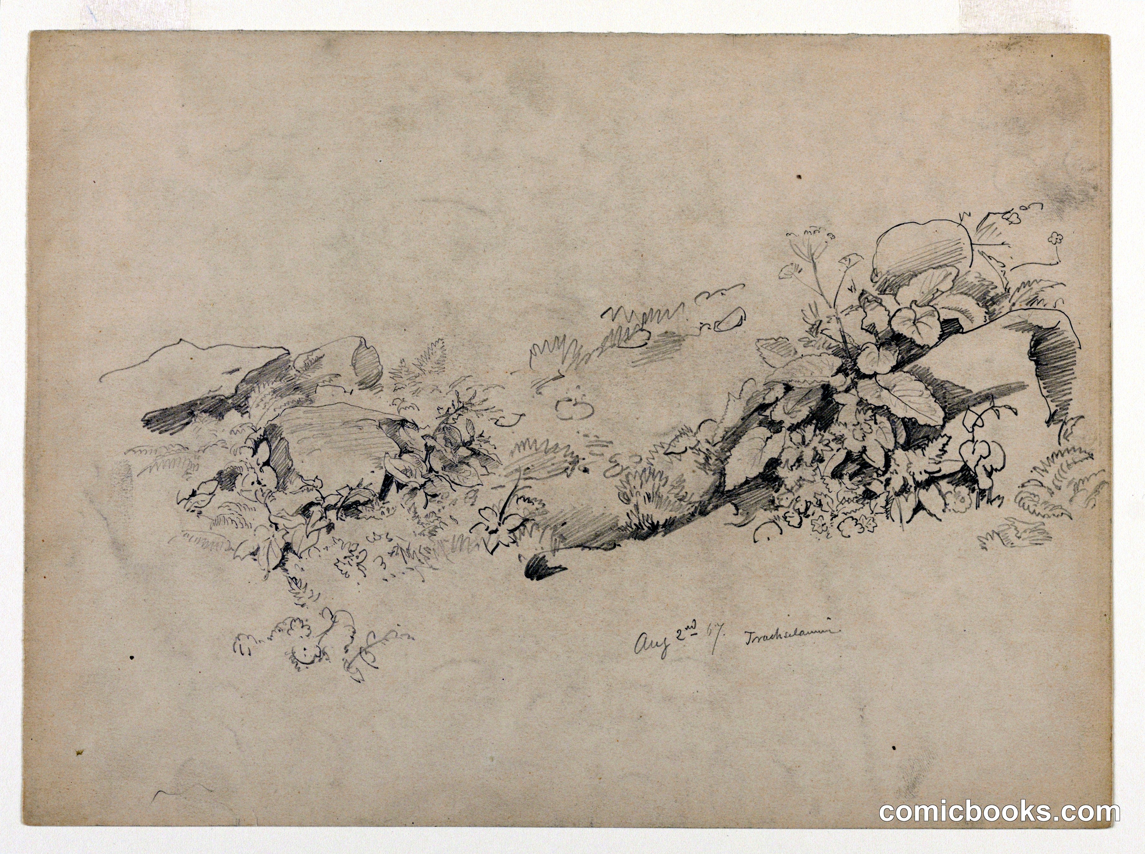 Study of Foliage, Trachselwald, Bern, Switzerland