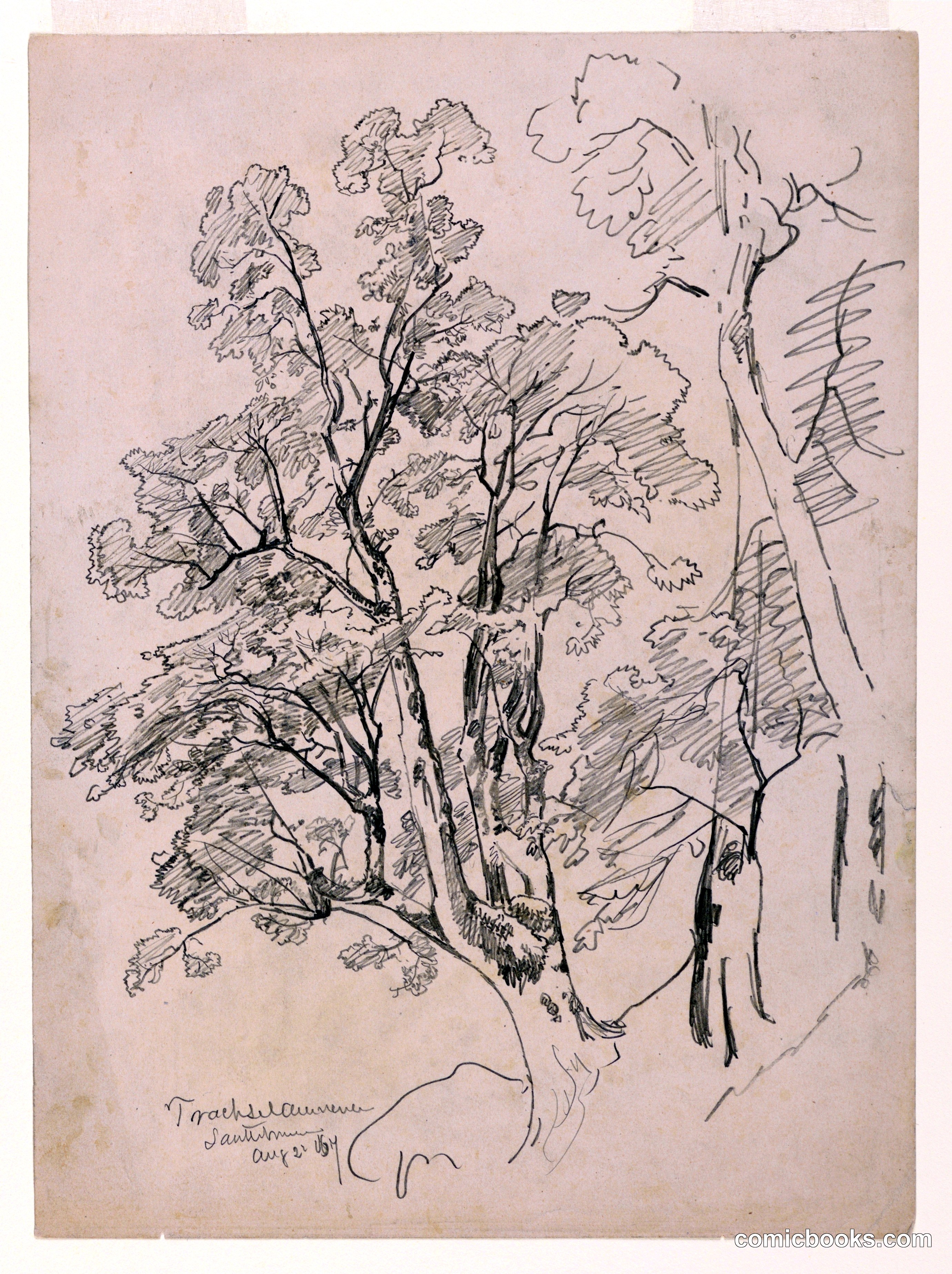 Study of Foliage, Trachselwald, Bern, Switzerland