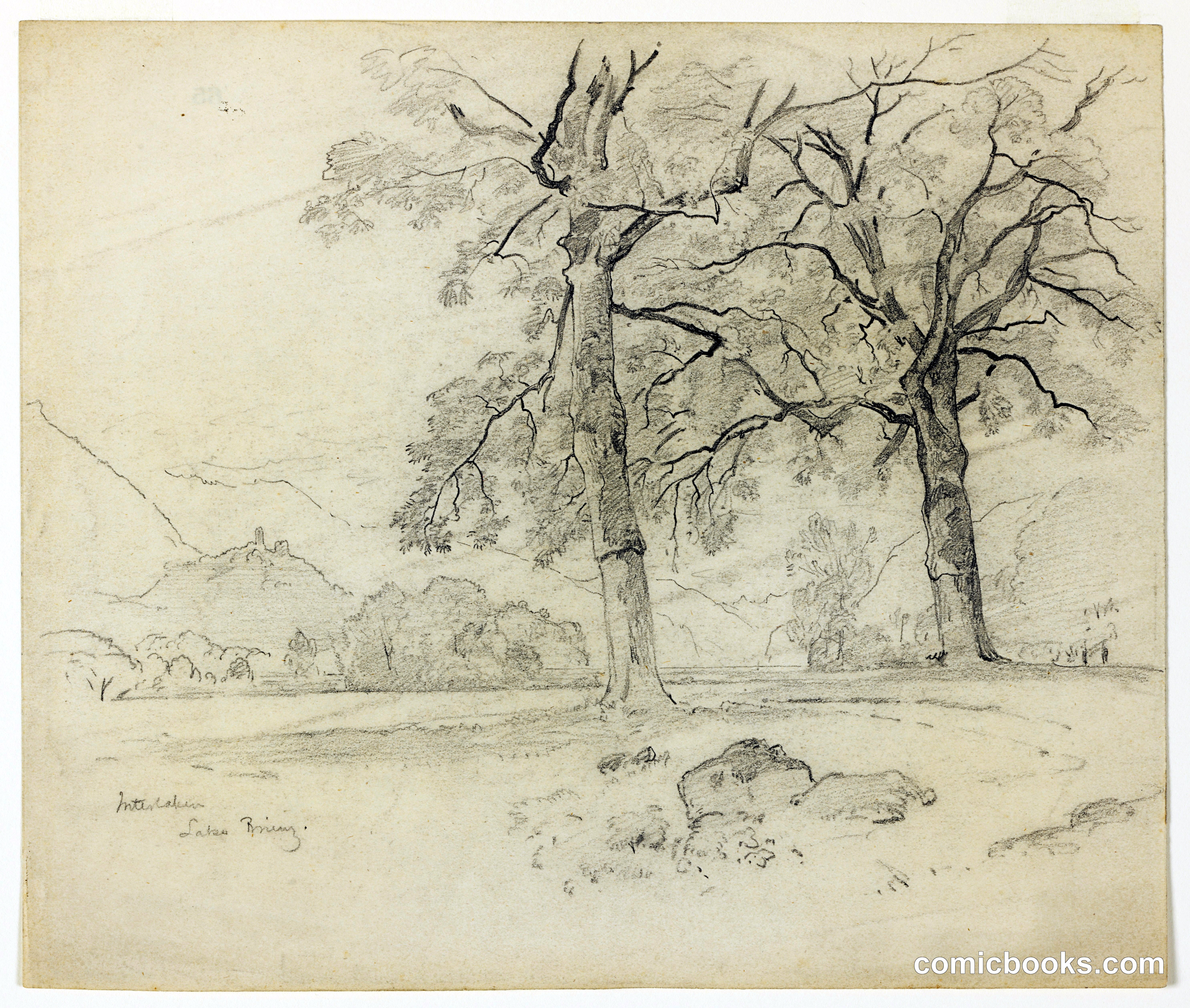 Landscape, Lake Brienz, Interlaken, Switzerland