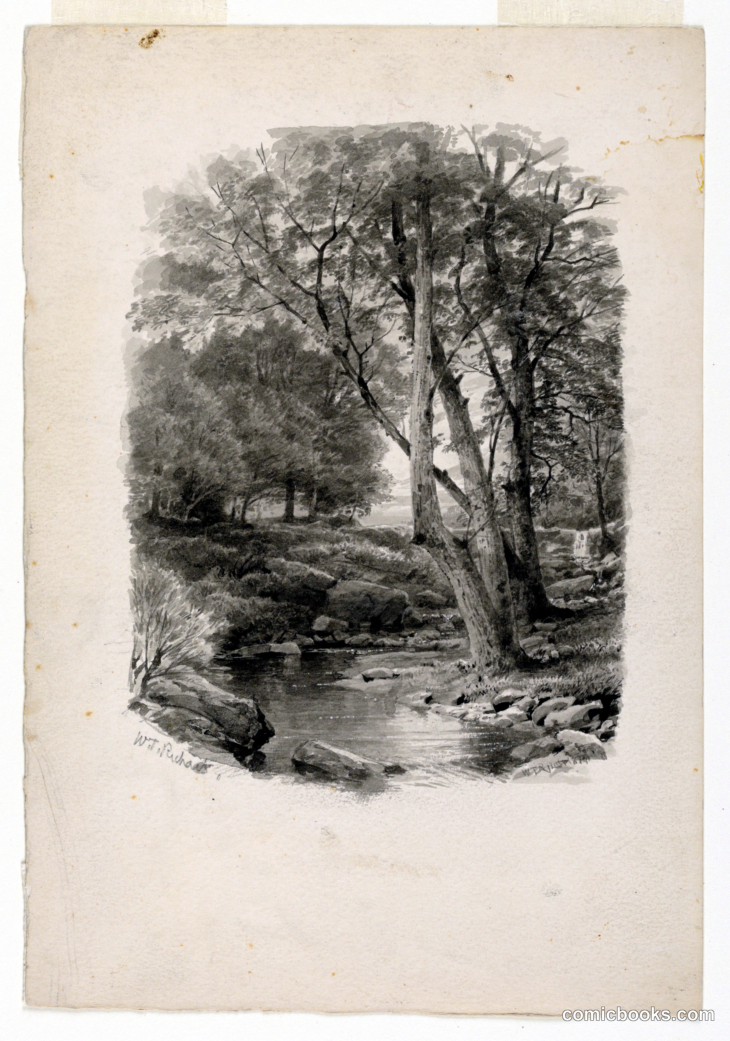 Pool in the Woods