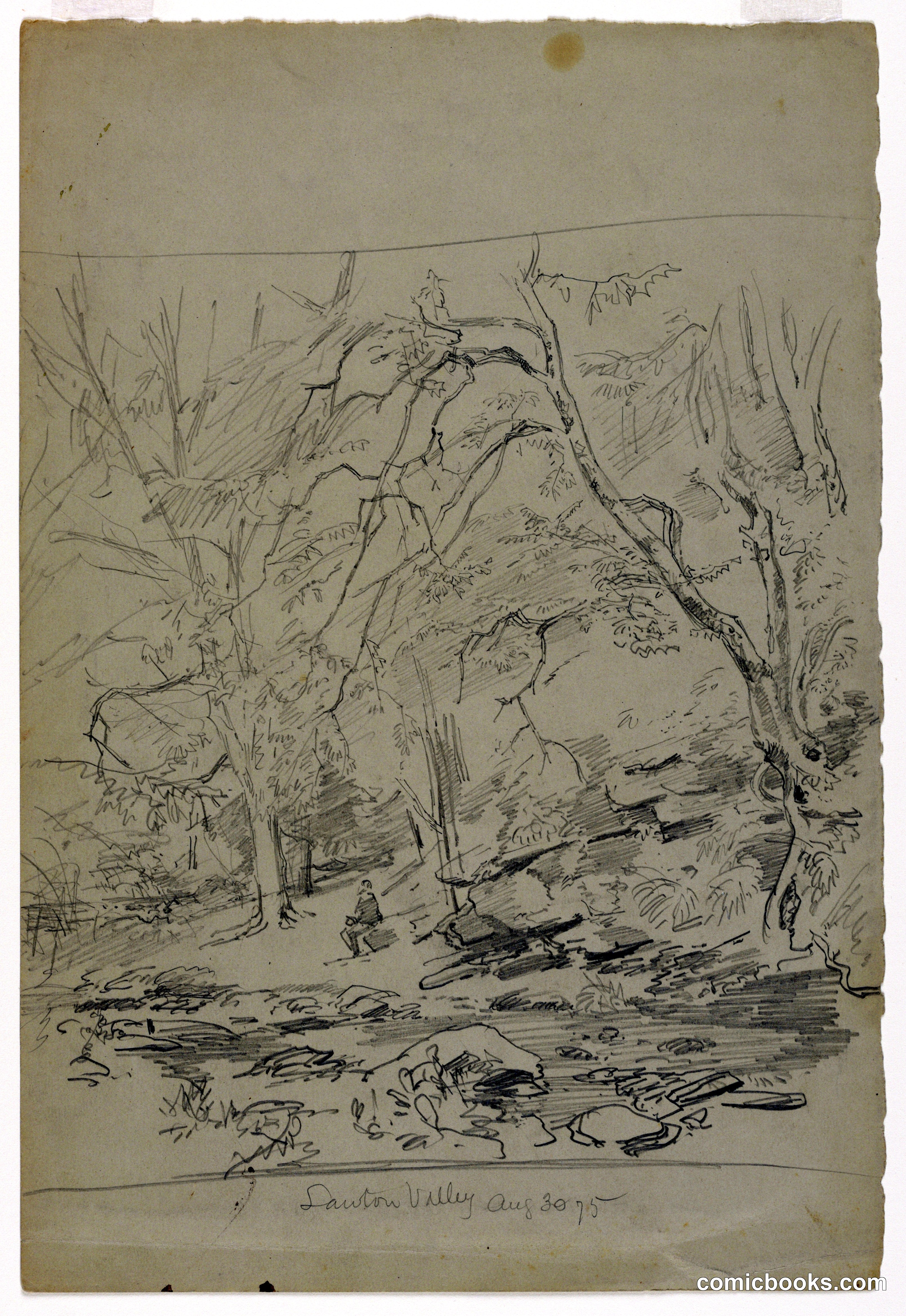 Study of Landscape, Lawton Valley, Rhode Island