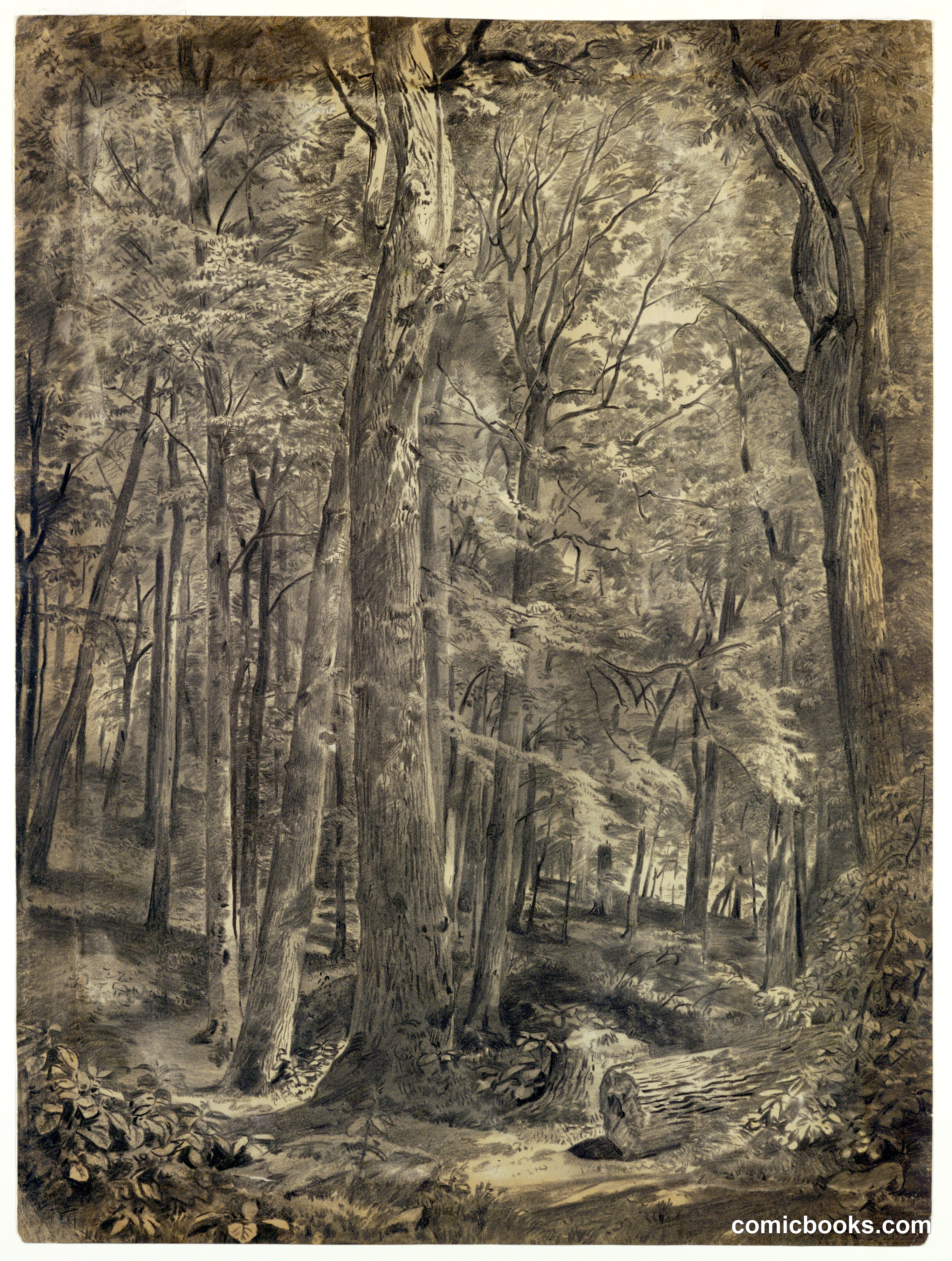 Study for June Woods