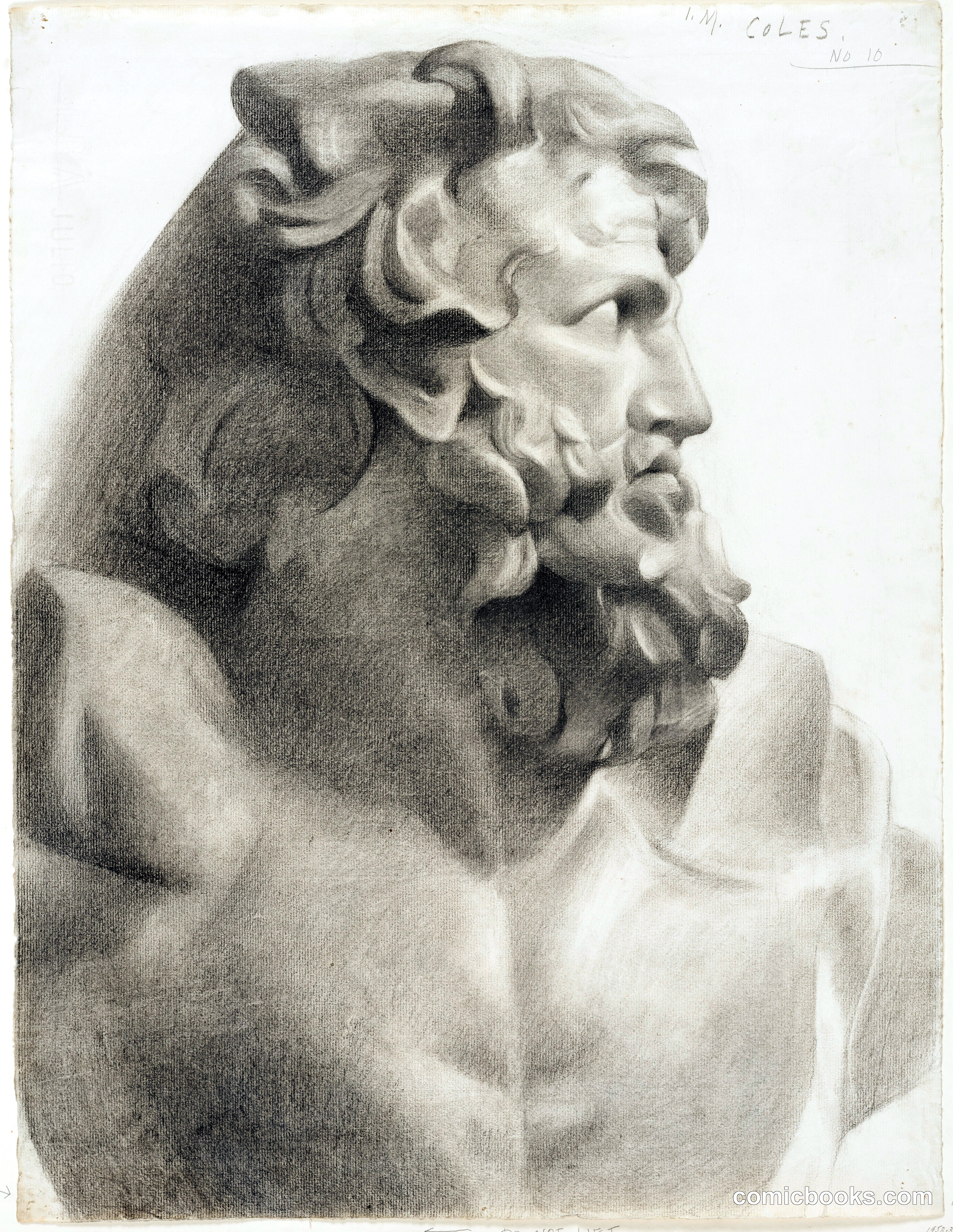 Head of the Laocoon (from a cast)
