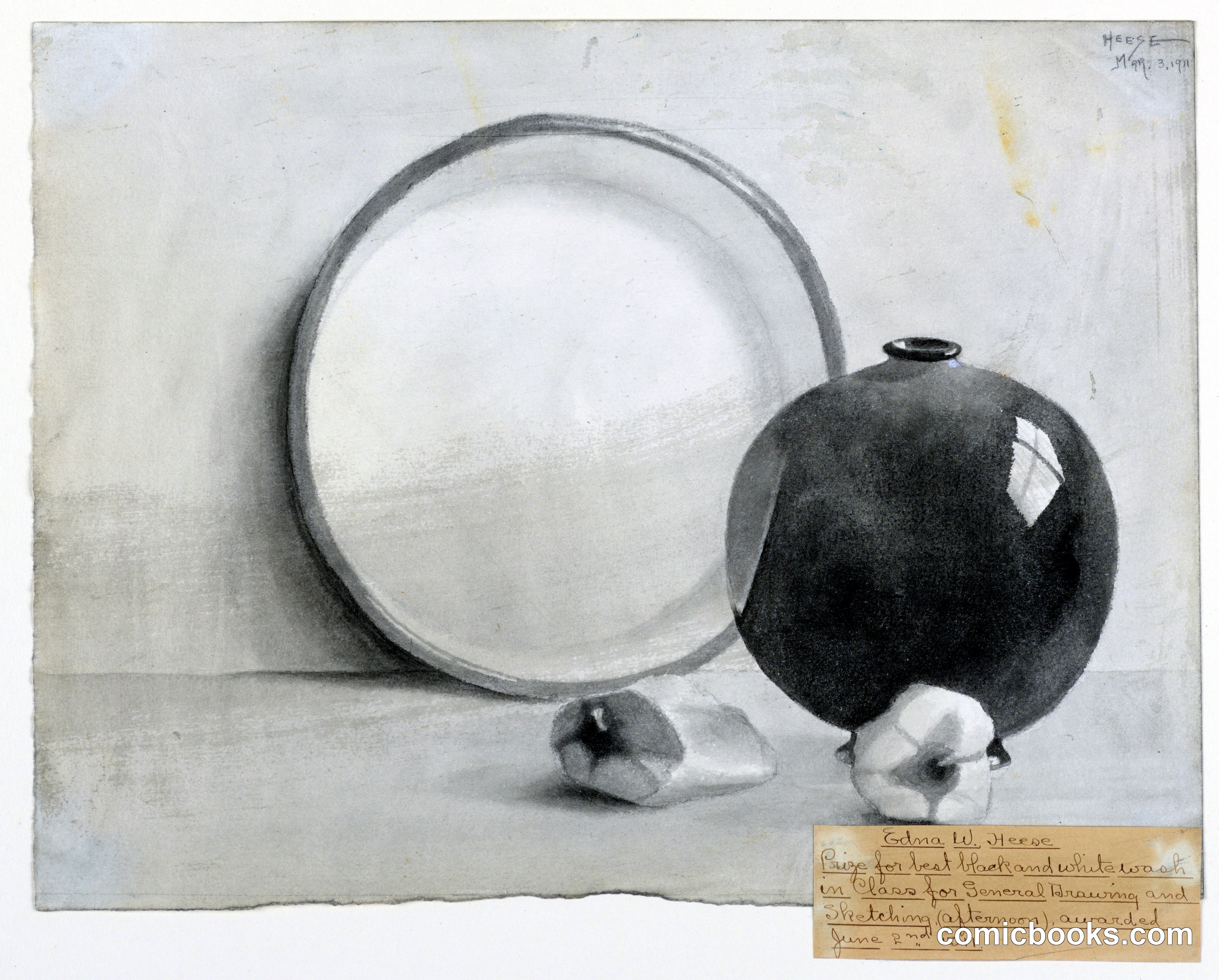 Still Life Study