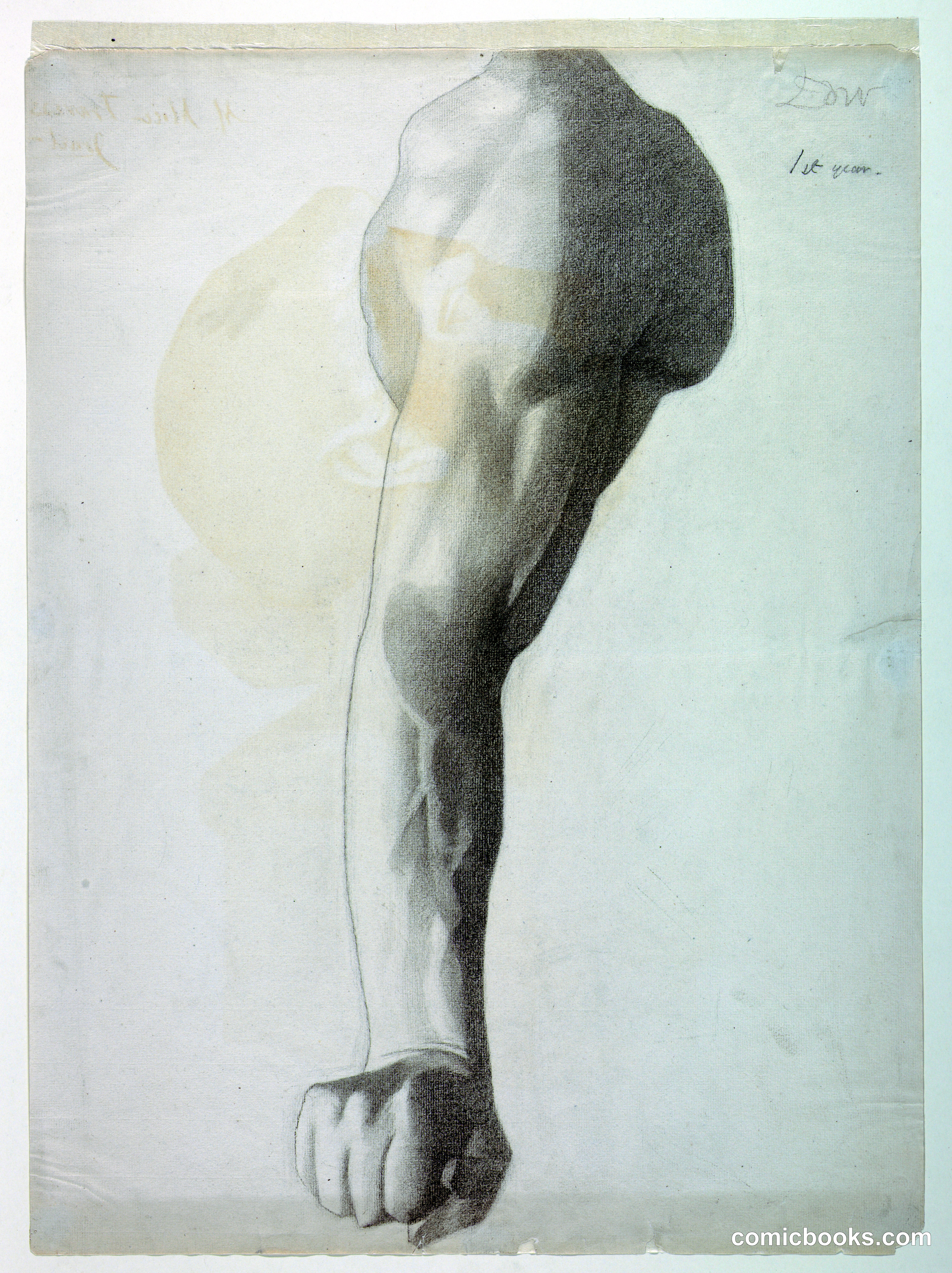 Male Arm Study