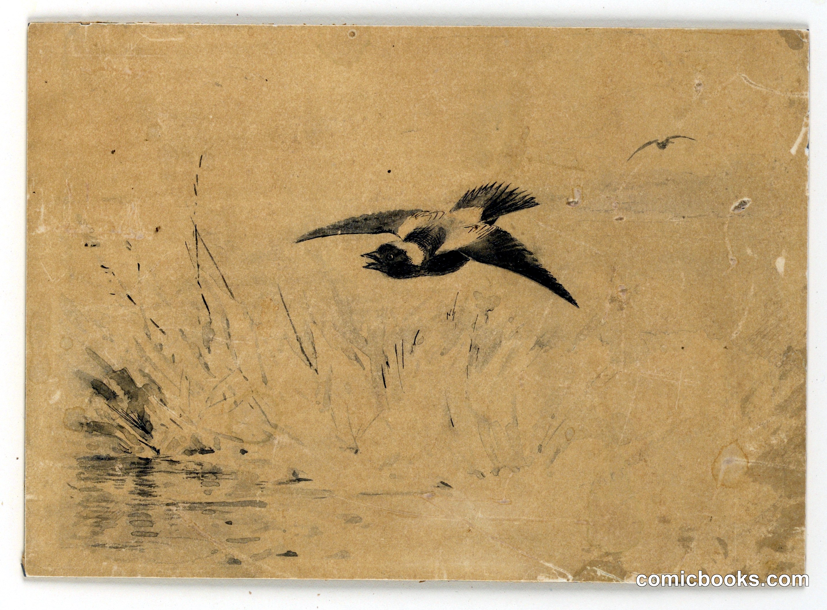 Bobolink