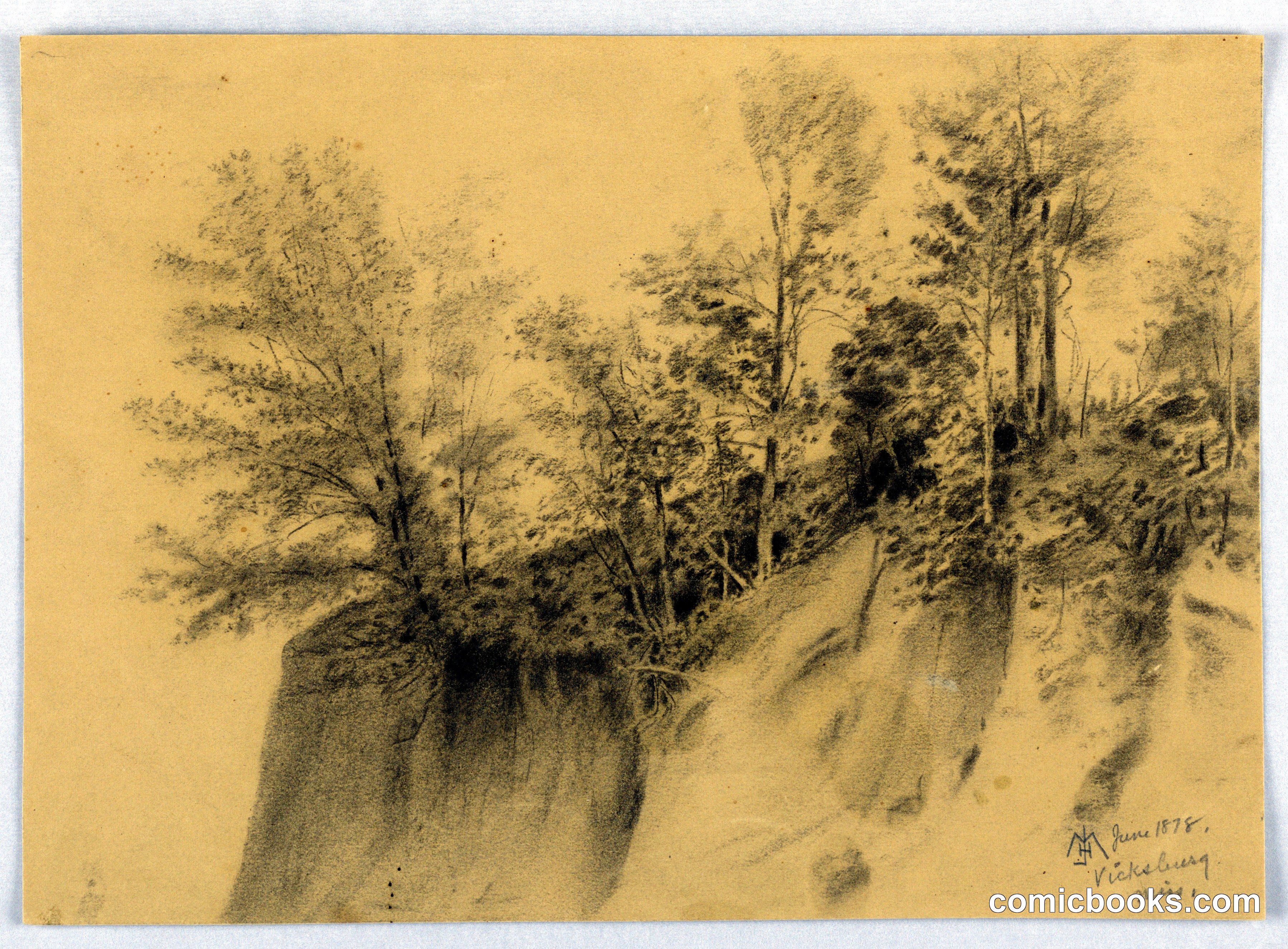 Cliff and Trees, Vicksburg, Miss.