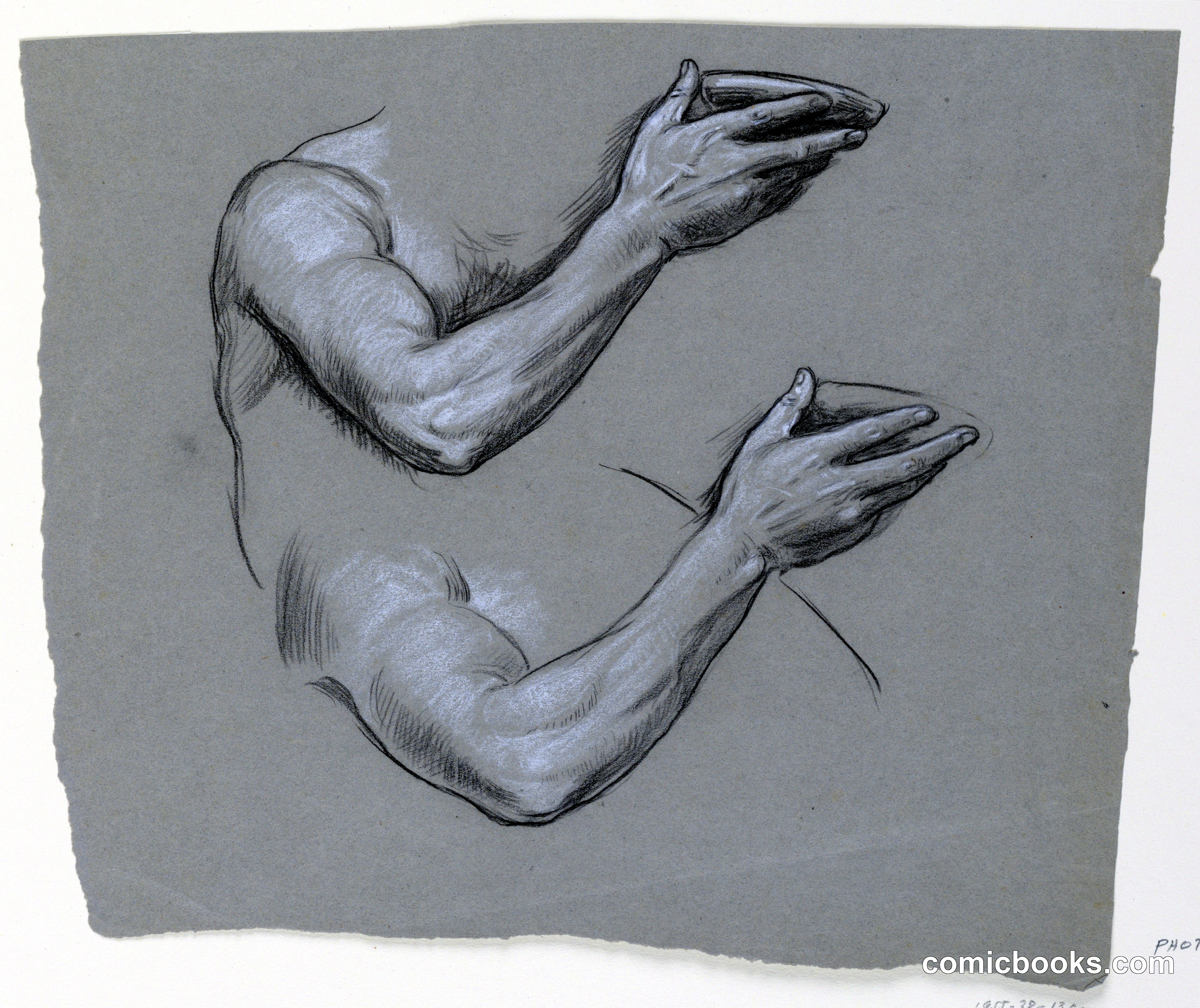 Study of Arm