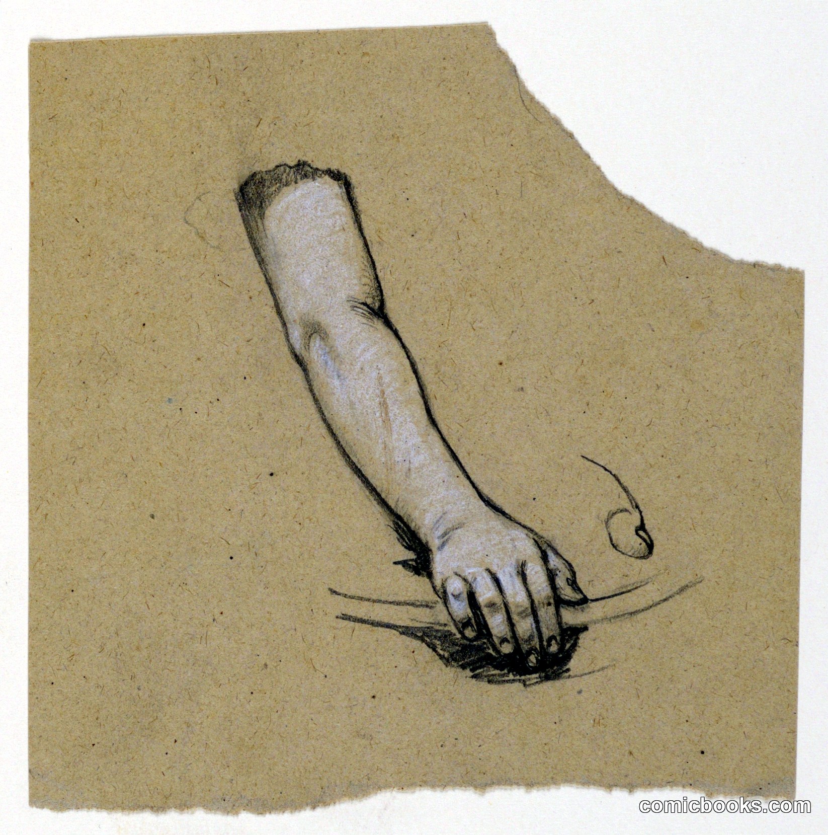 Study of Hand to Mid-Bicep