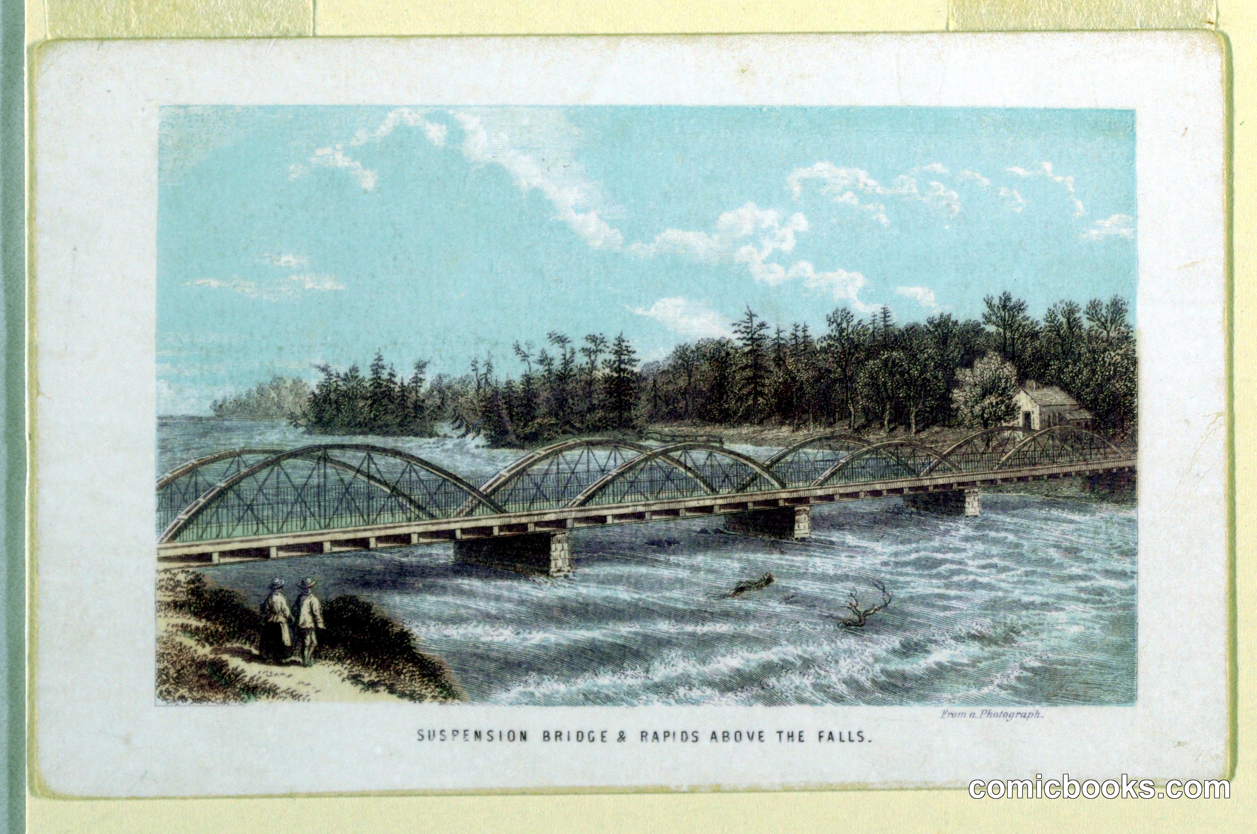 Suspension Bridge & Rapids Above the Falls