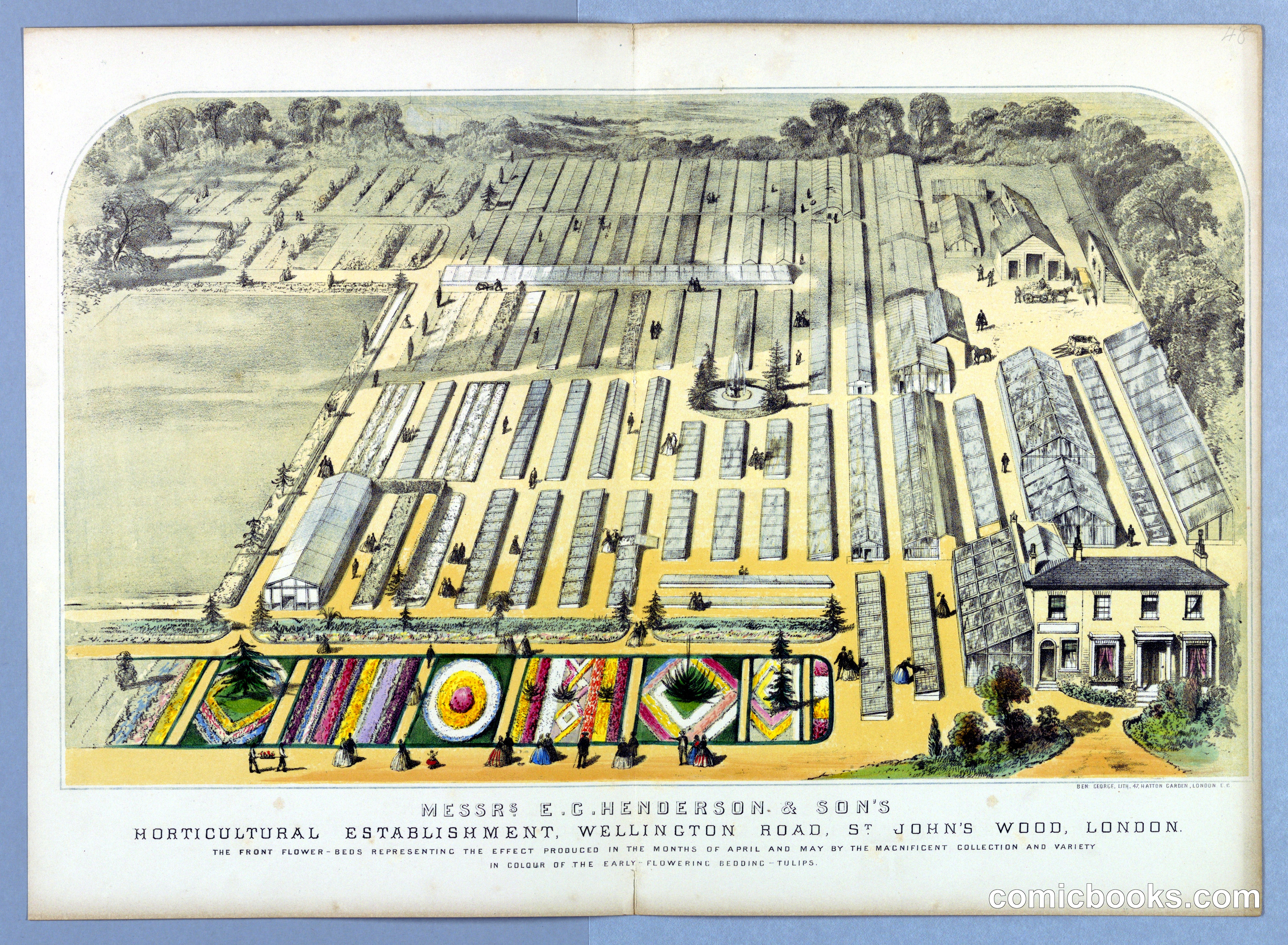 Messrs. E.G. Henderson & Son's Horticultural Establishment