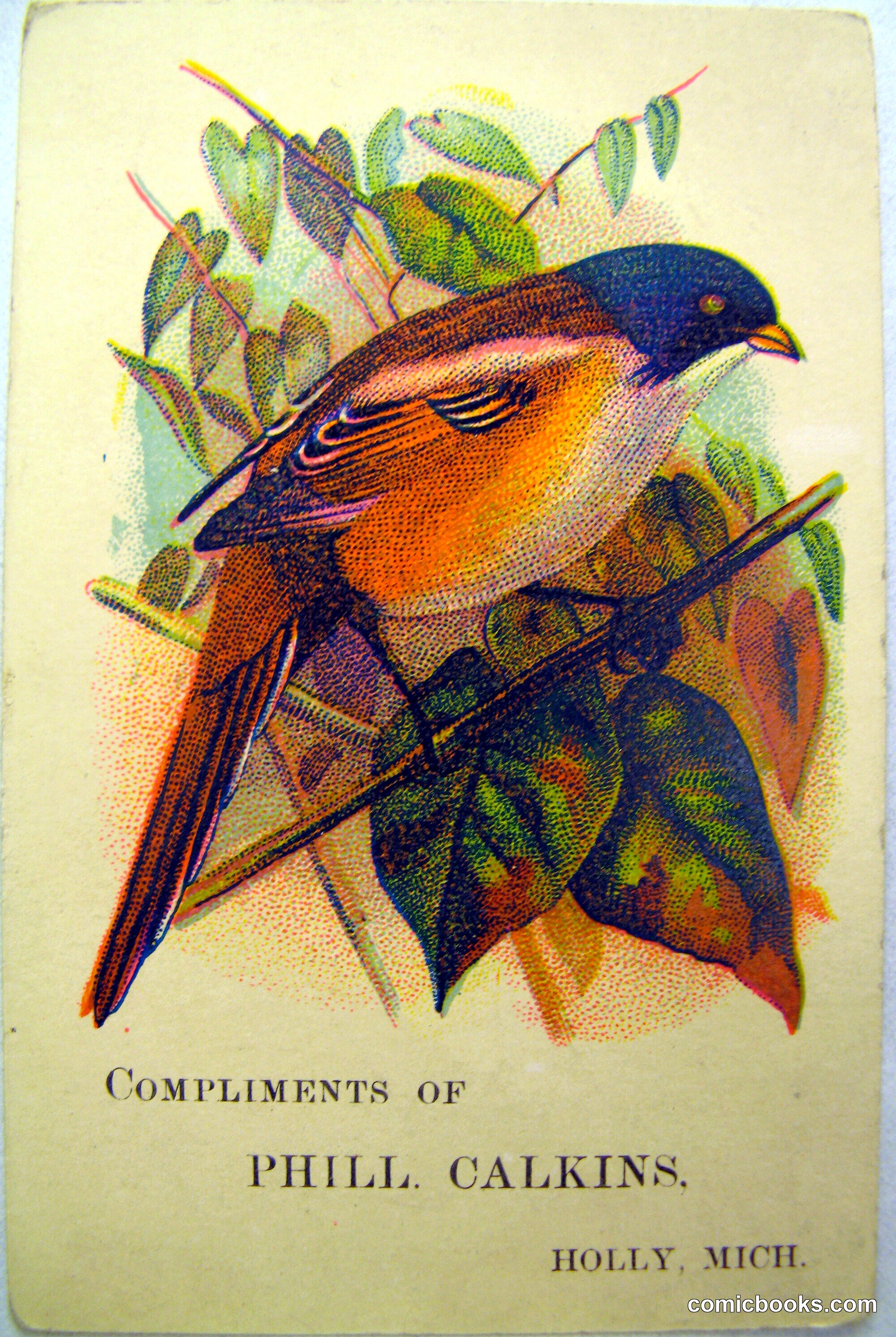 Trade Card: Bird on Branch