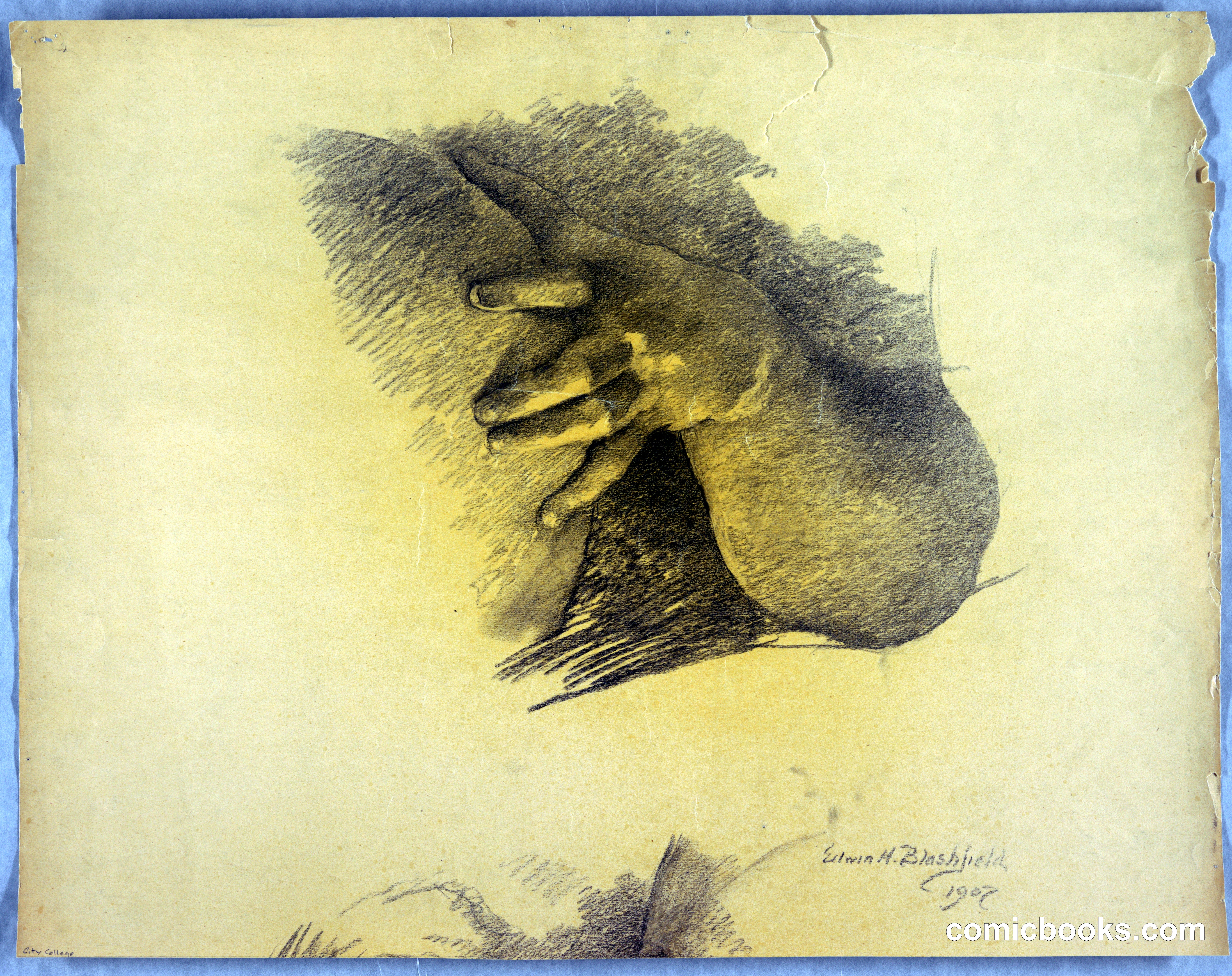 Study of Arm and Hand