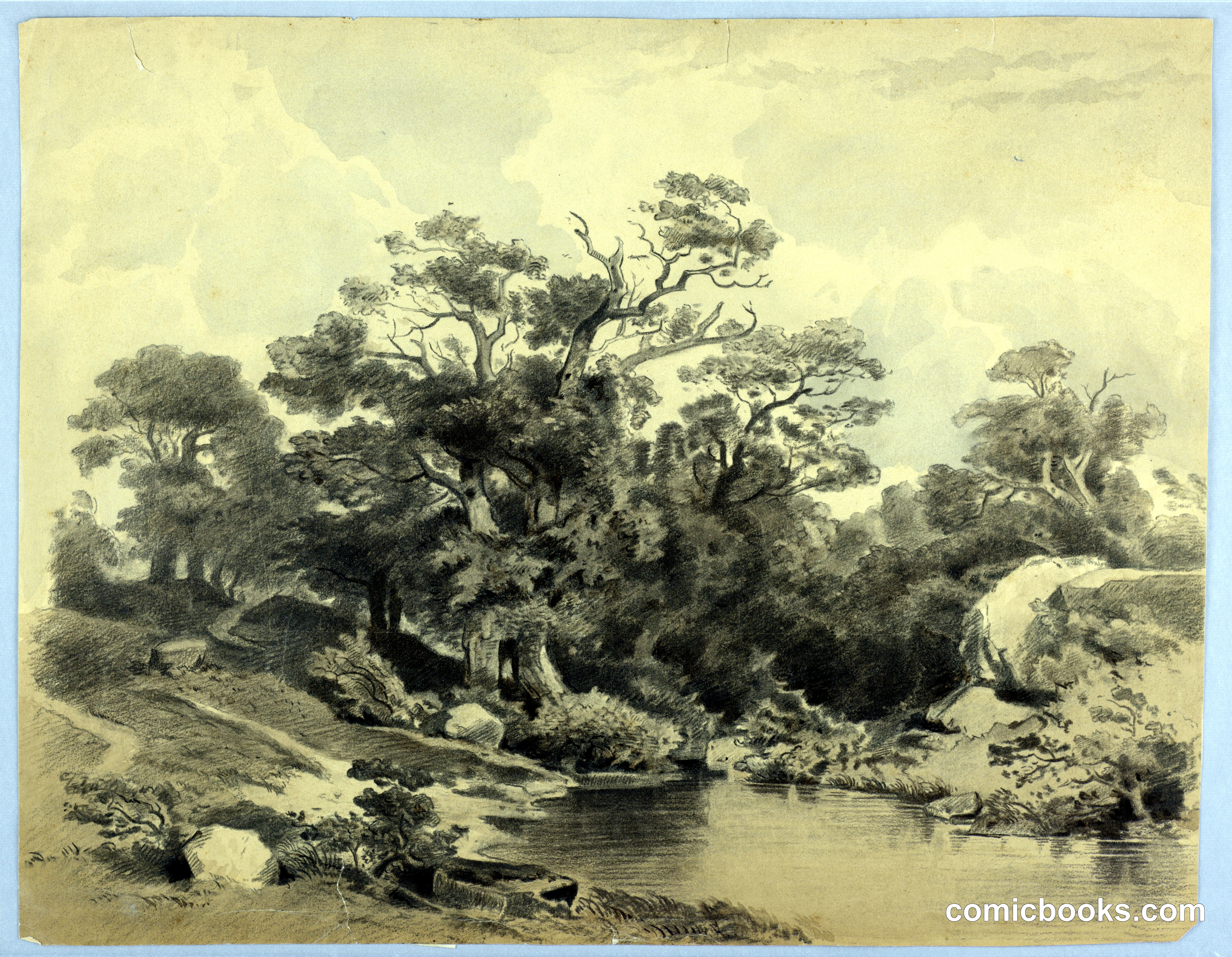 Study of Landscape
