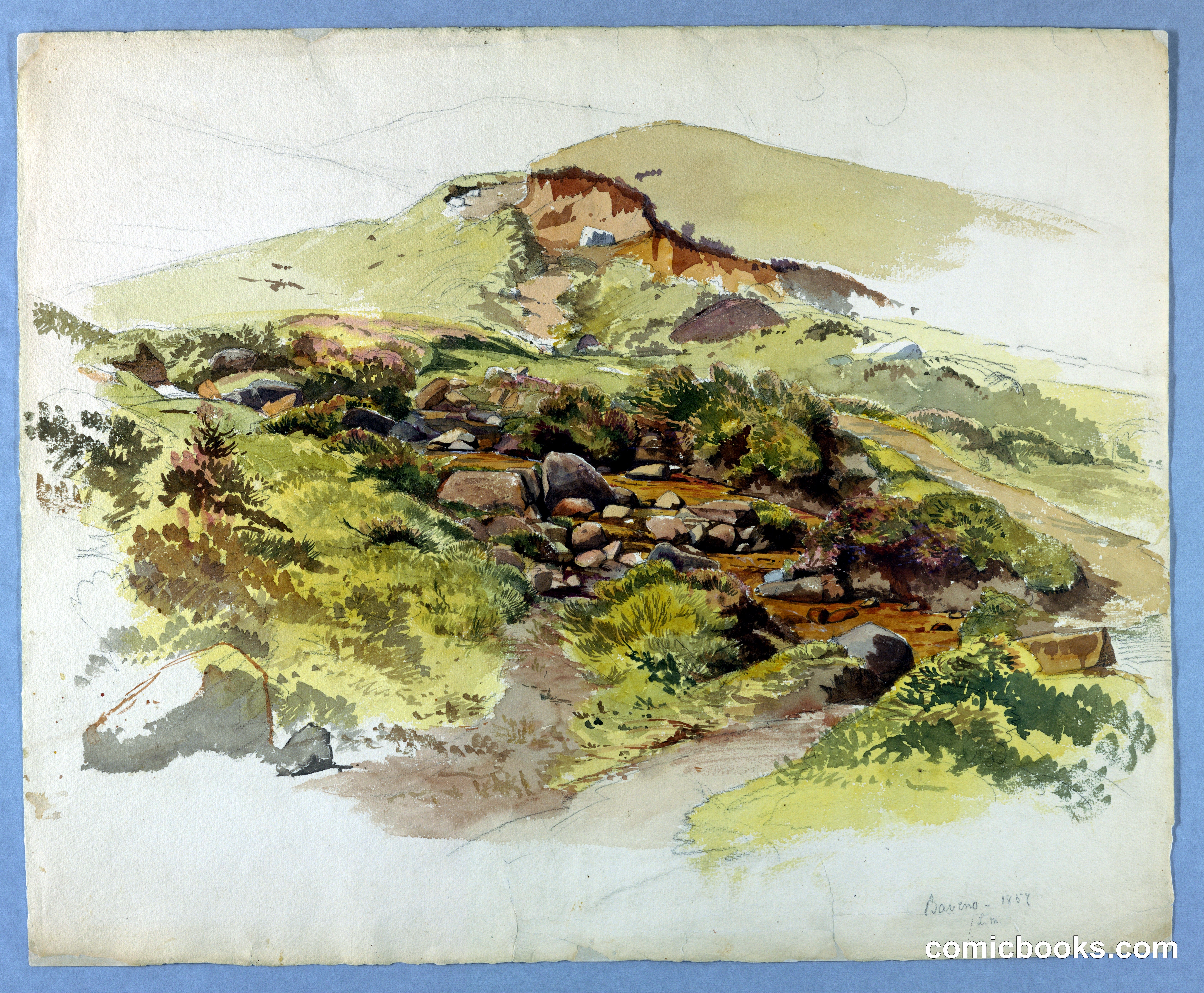 Study of landscape, Baveno, Lago Maggiore, Italy