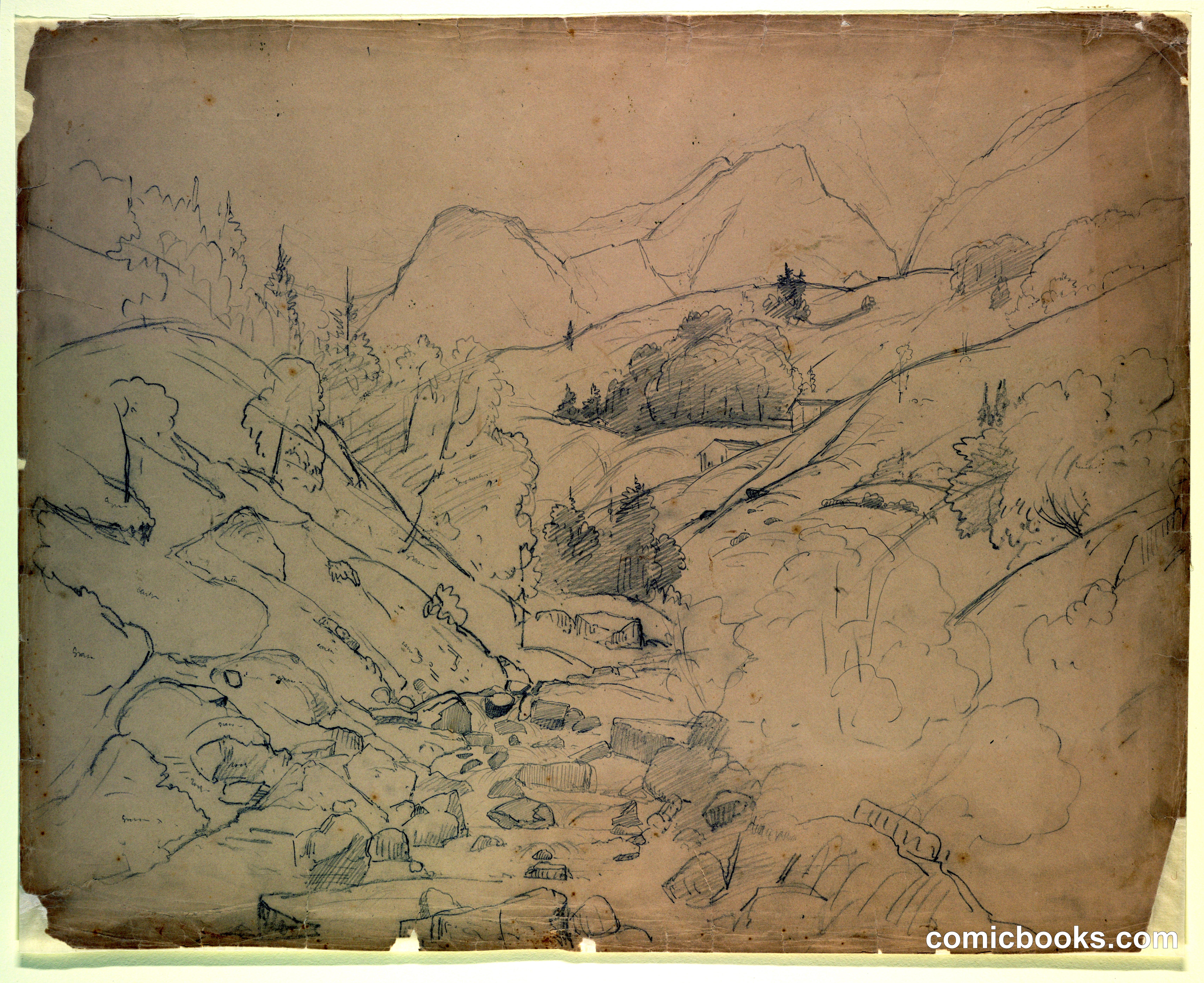 Landscape Study
