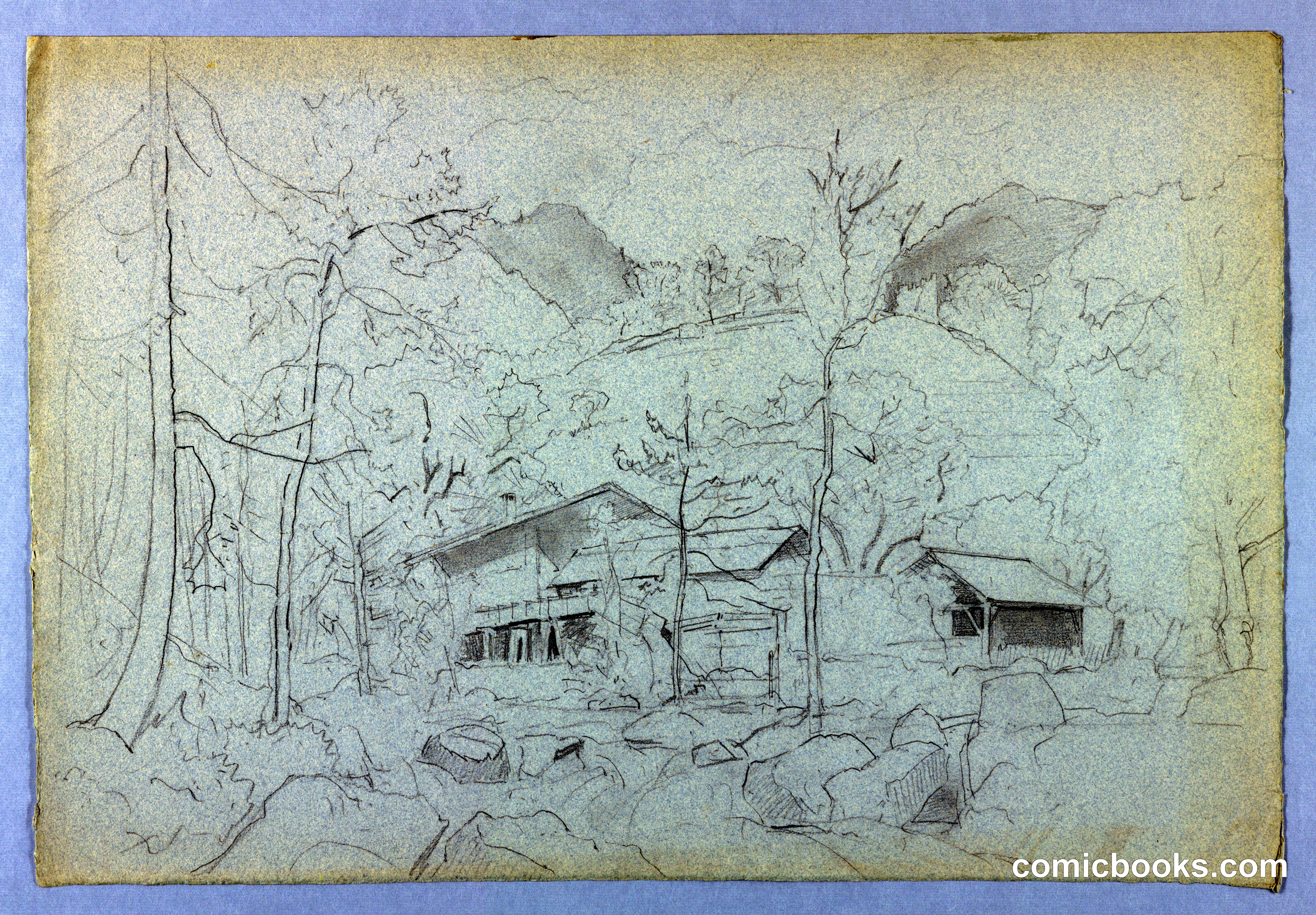 Landscape Study