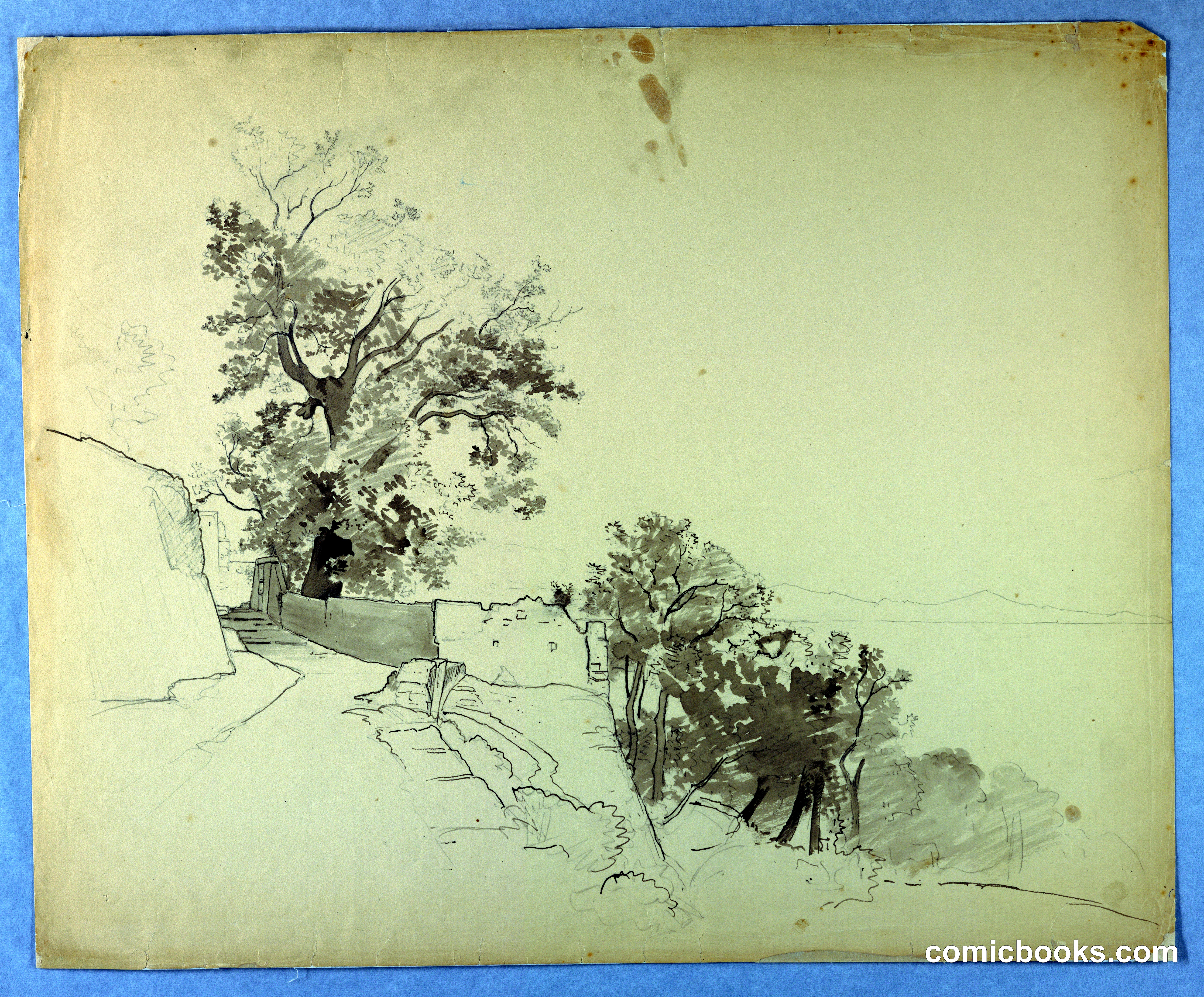 Landscape Study