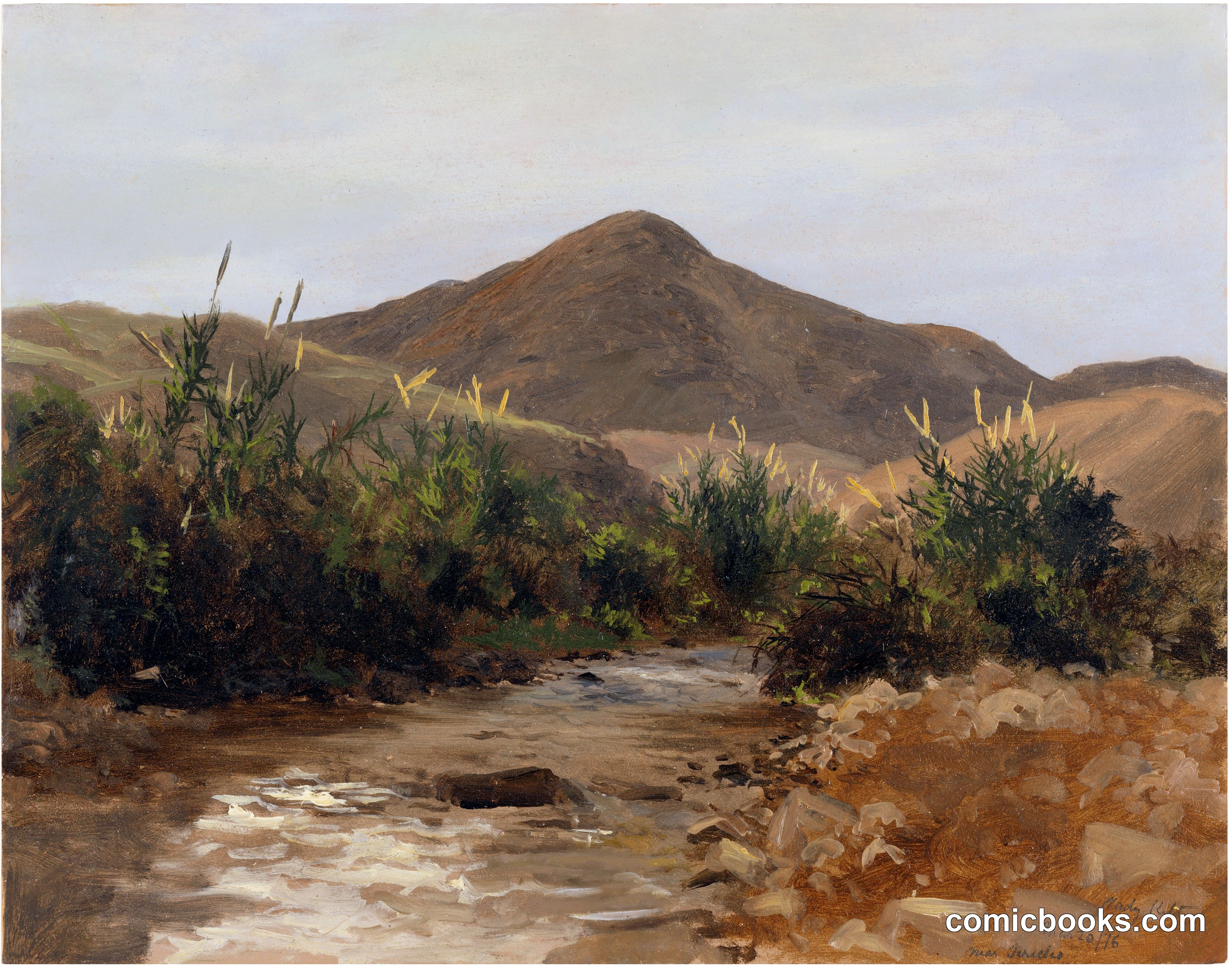 Near Jericho, Wady Kilt