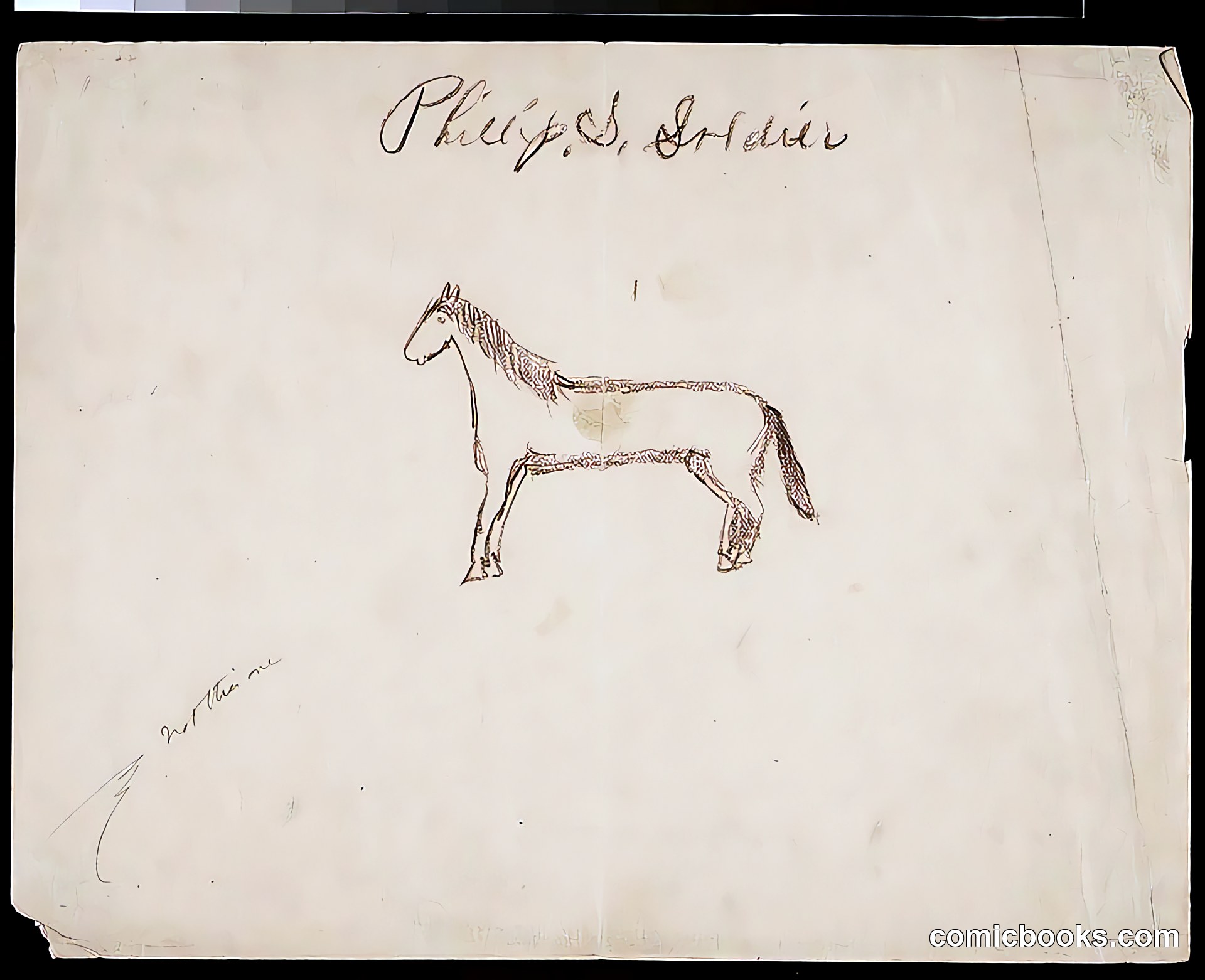 Horse Study