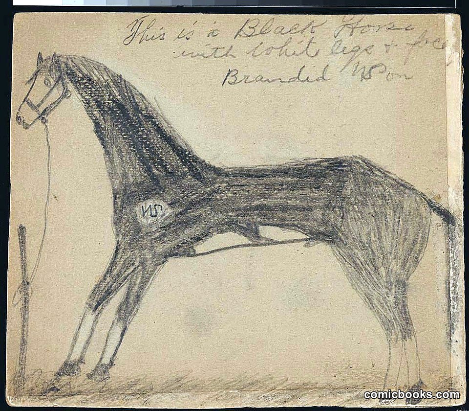 Horse Study