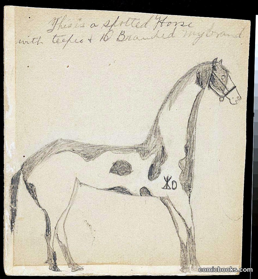 Spotted Horse Study