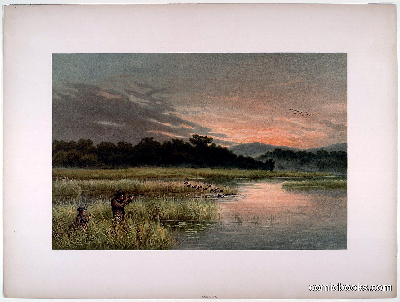 Mallard Shooting