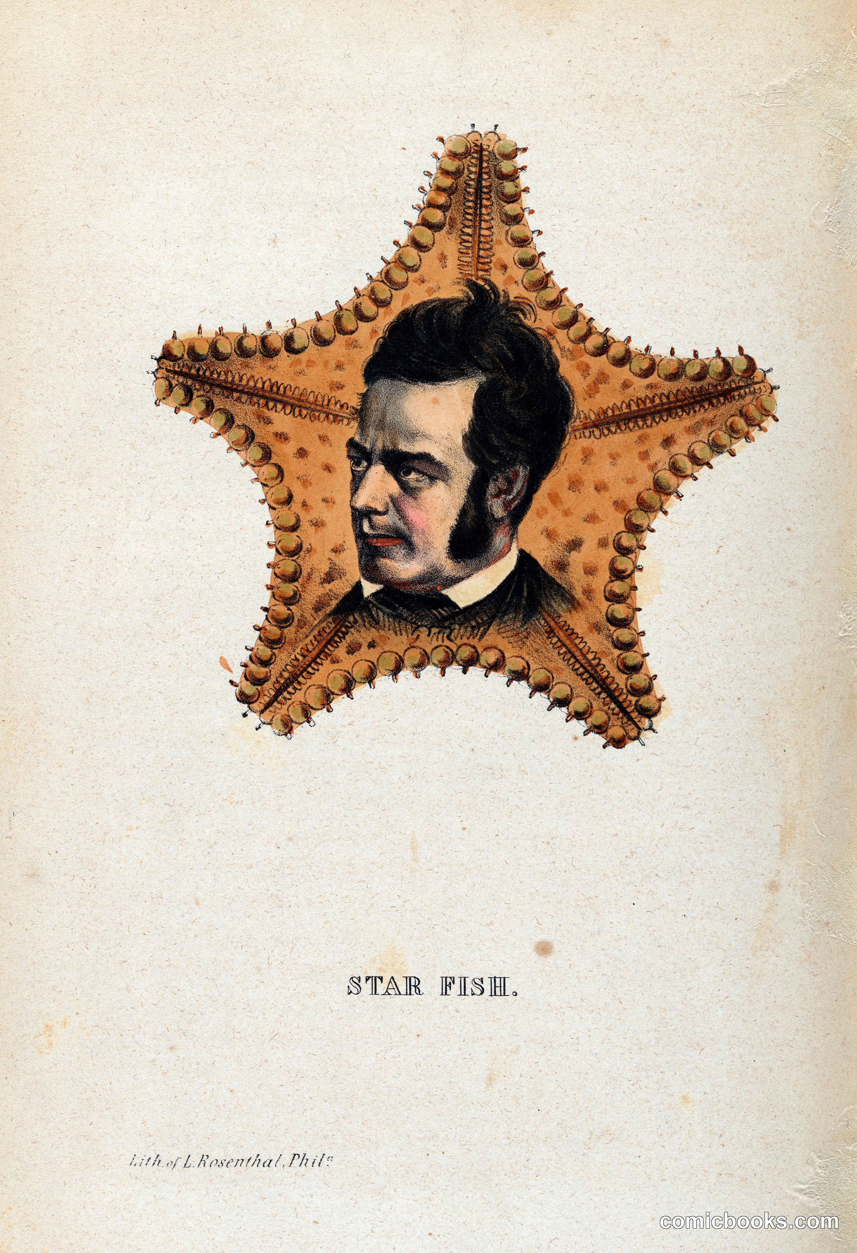 Star Fish