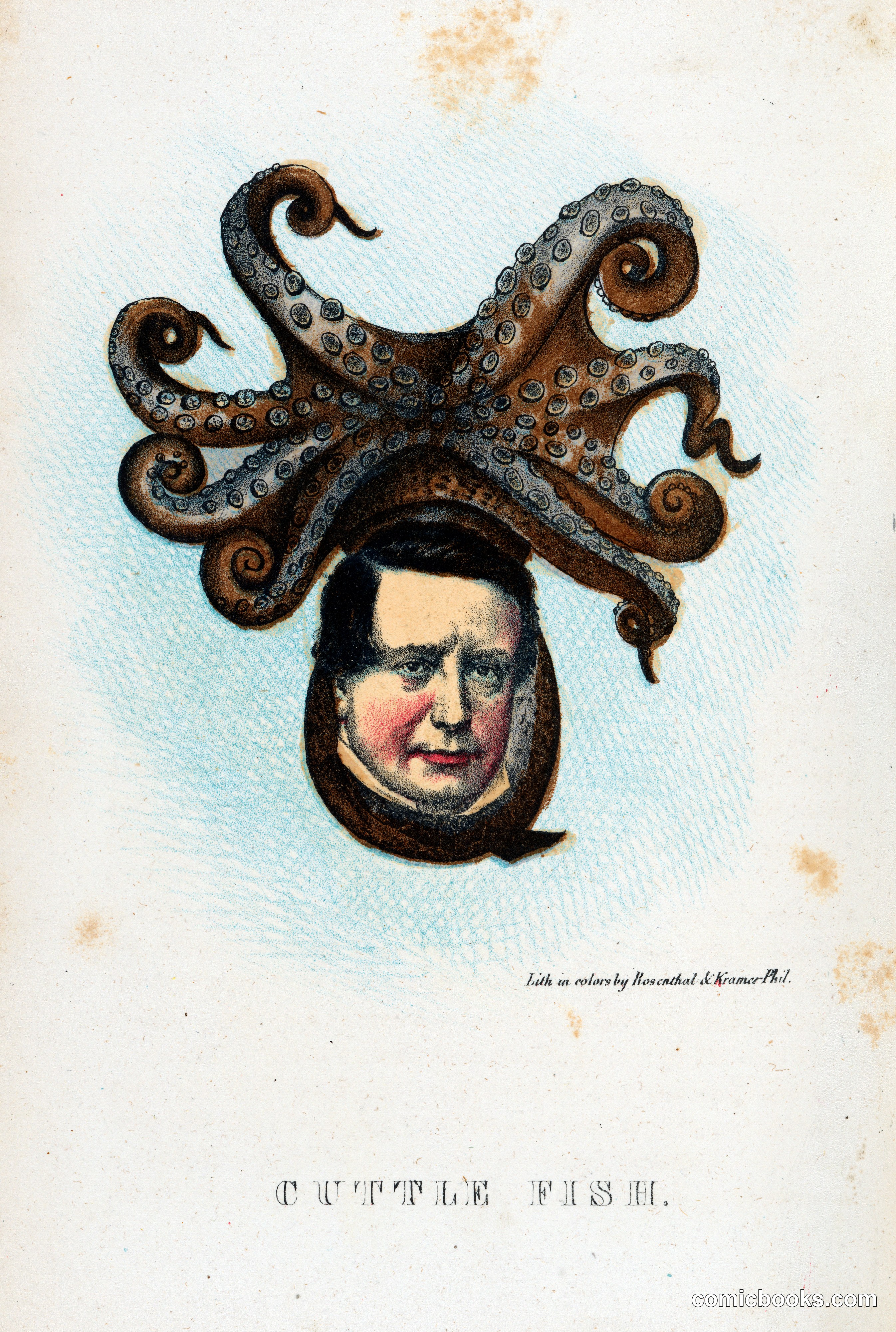 Cuttle Fish