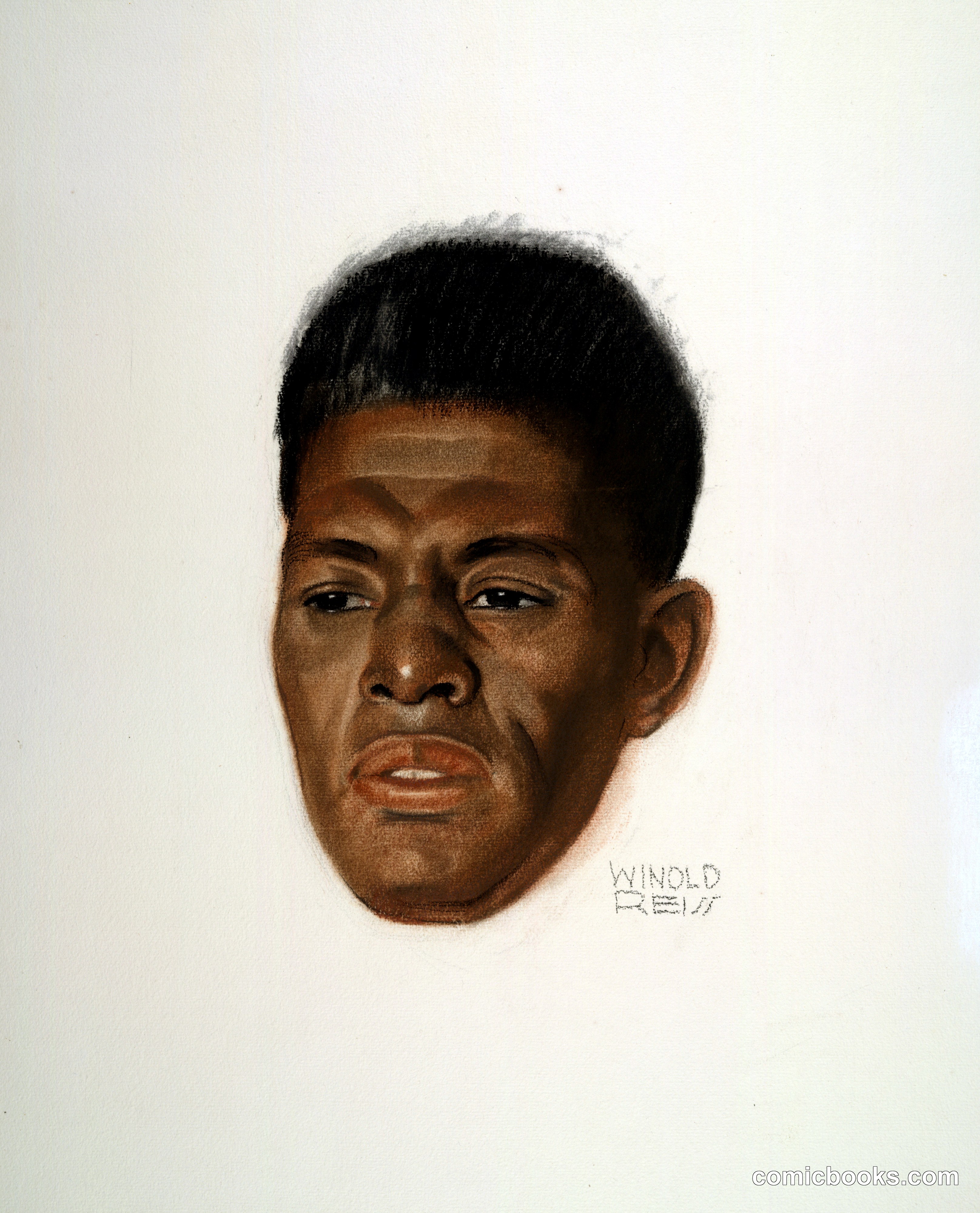 Portrait of Roland Hayes