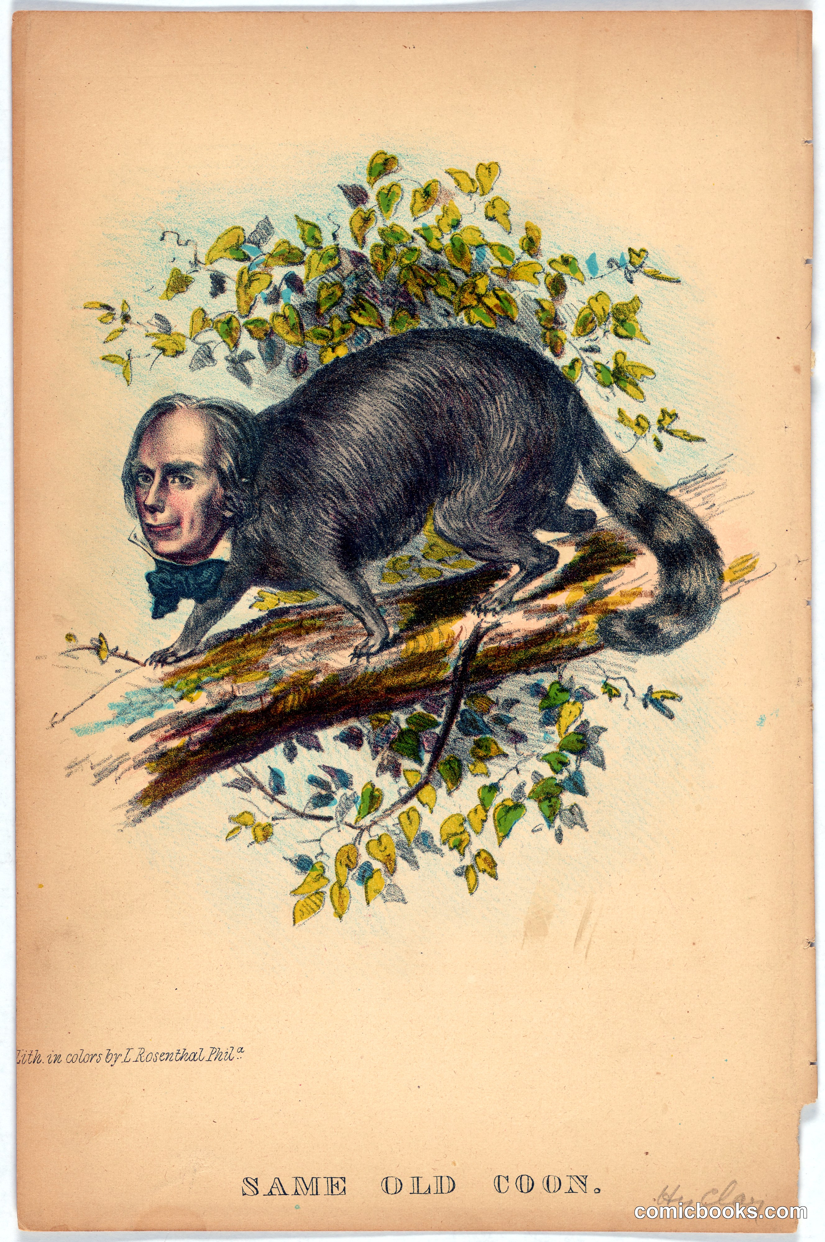 Same Old Coon