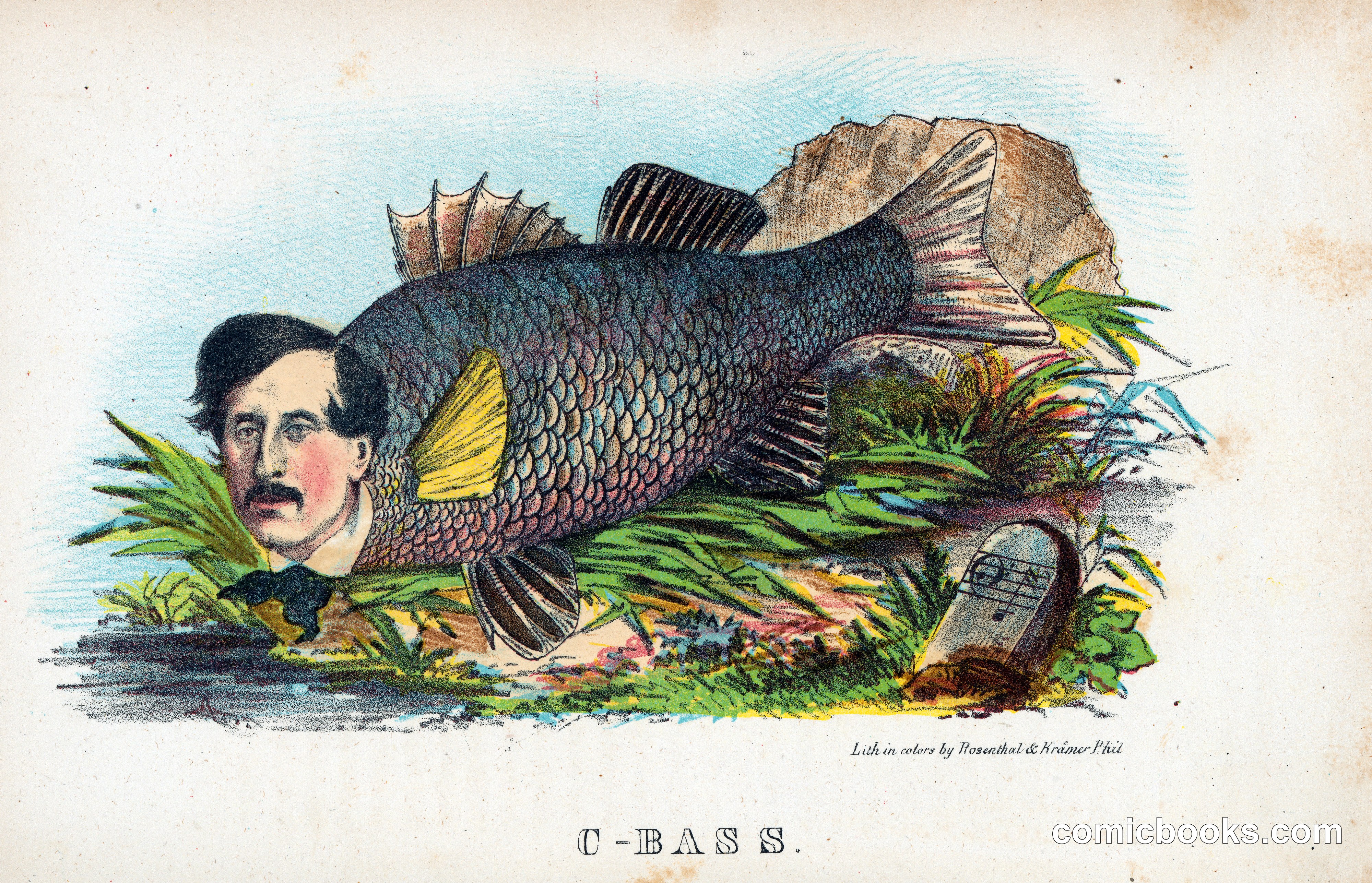 C-Bass