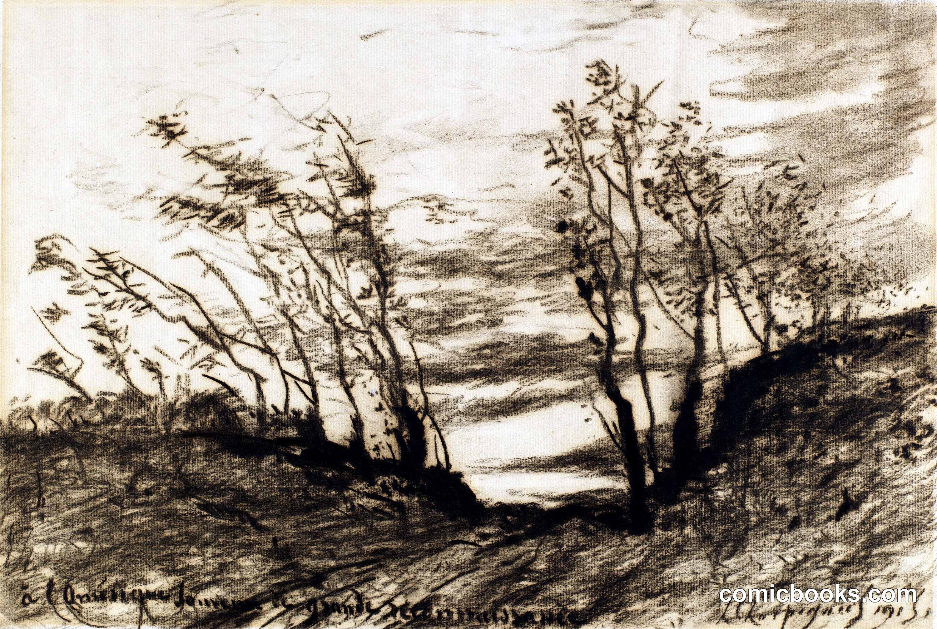 Landscape