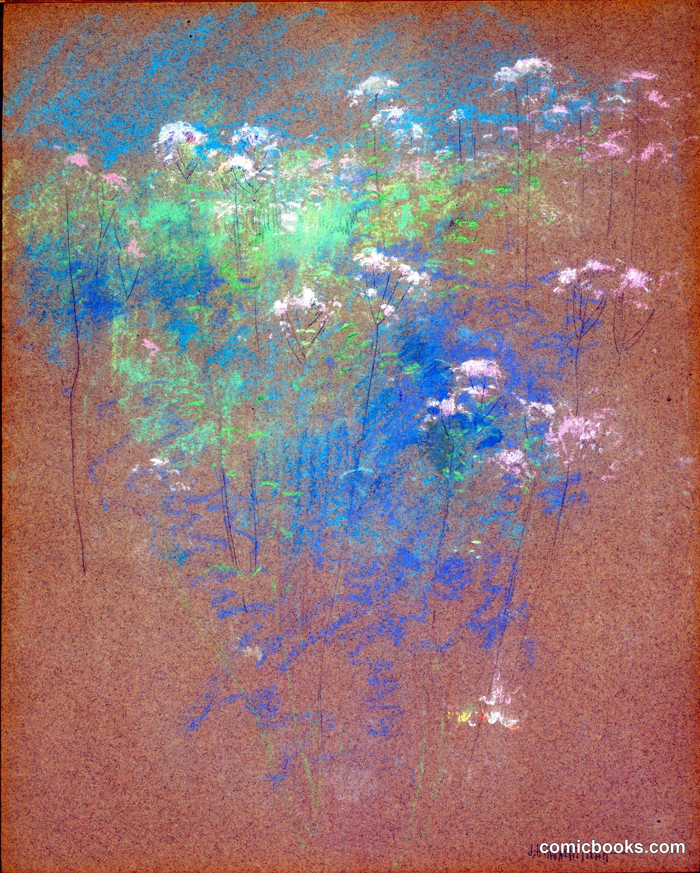 Flowers