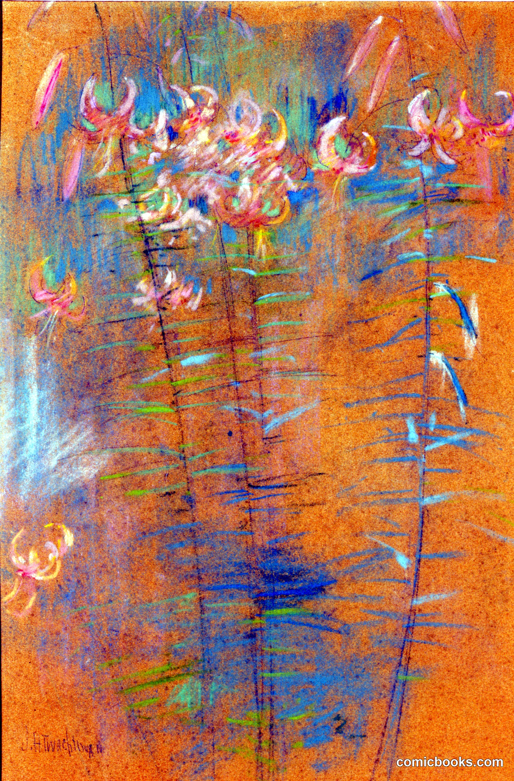 Tiger Lilies