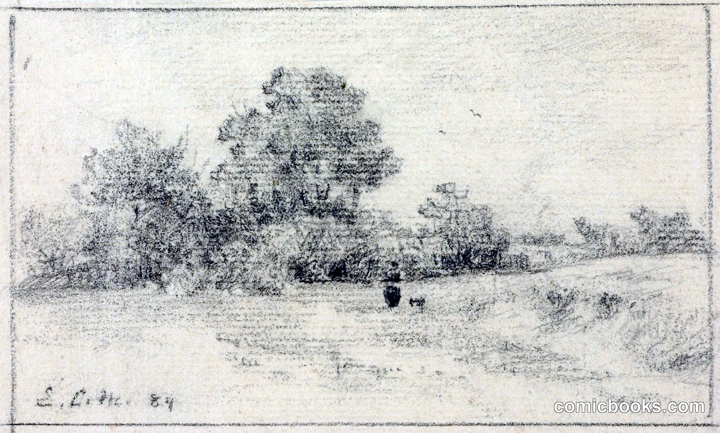 Landscape